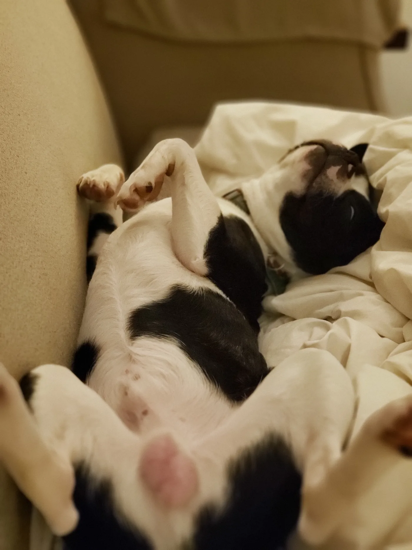 20190429_221512.jpg