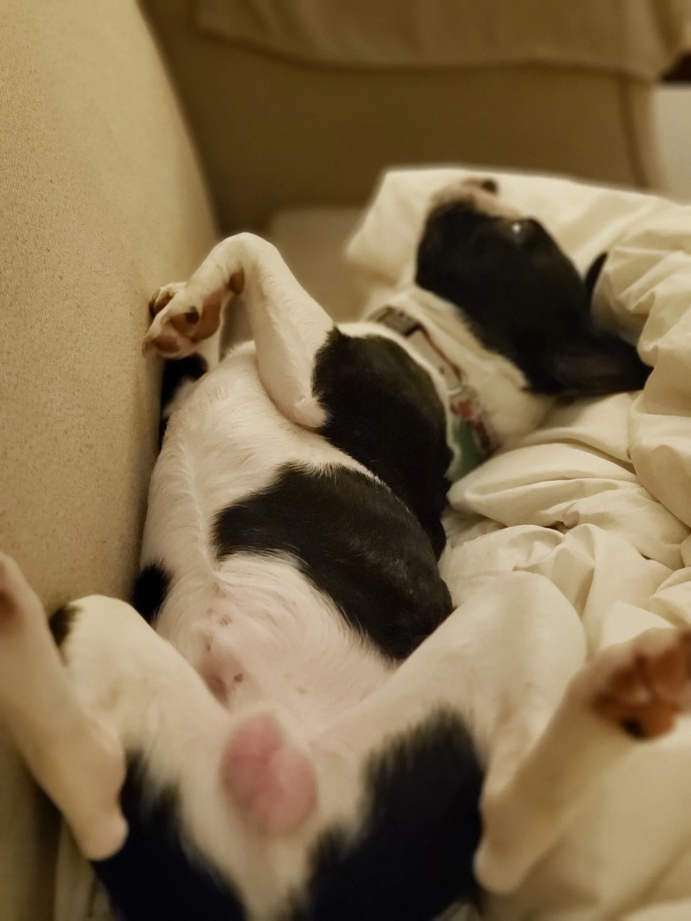 20190429_221519.jpg