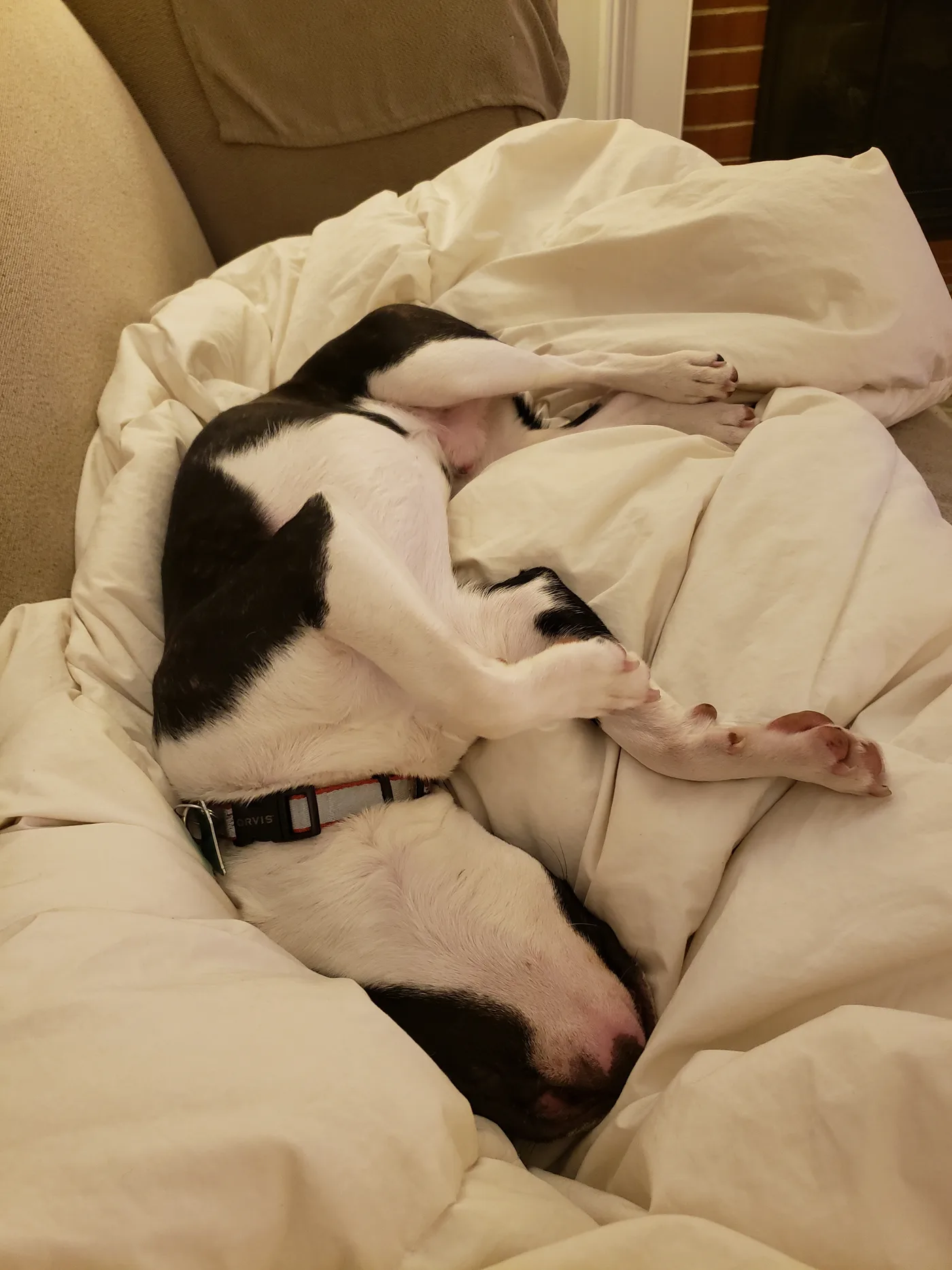 20190504_223617.jpg