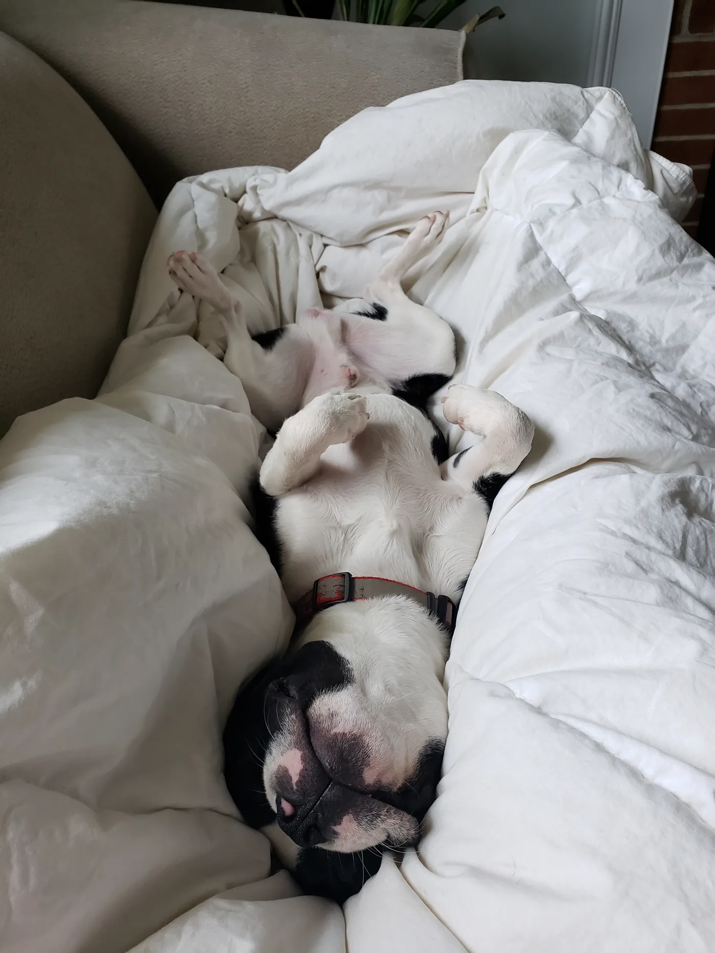 20190512_093144.jpg