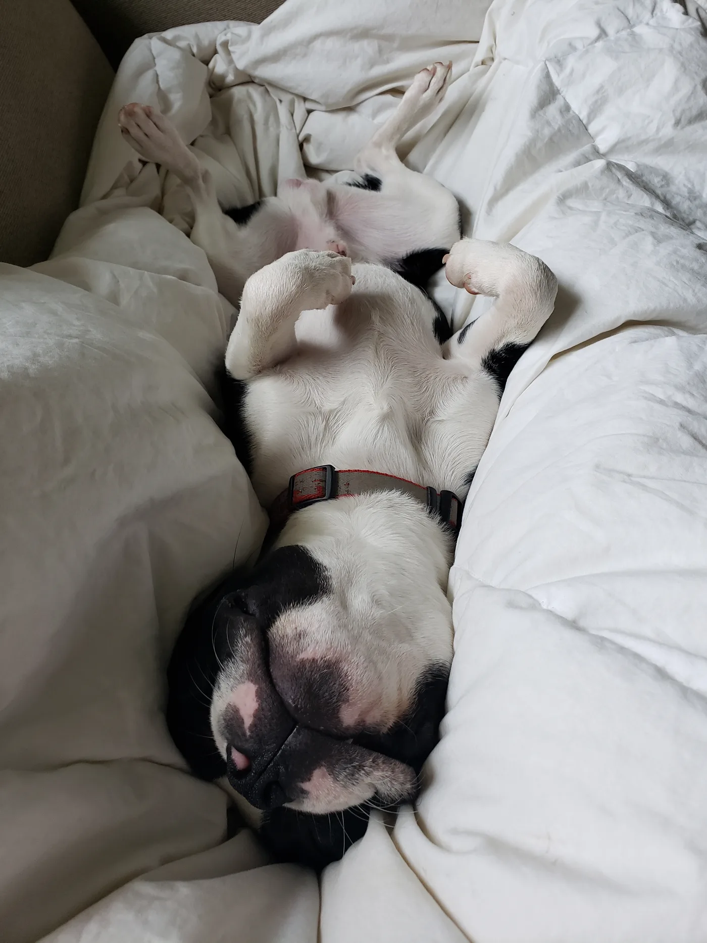 20190512_093200.jpg
