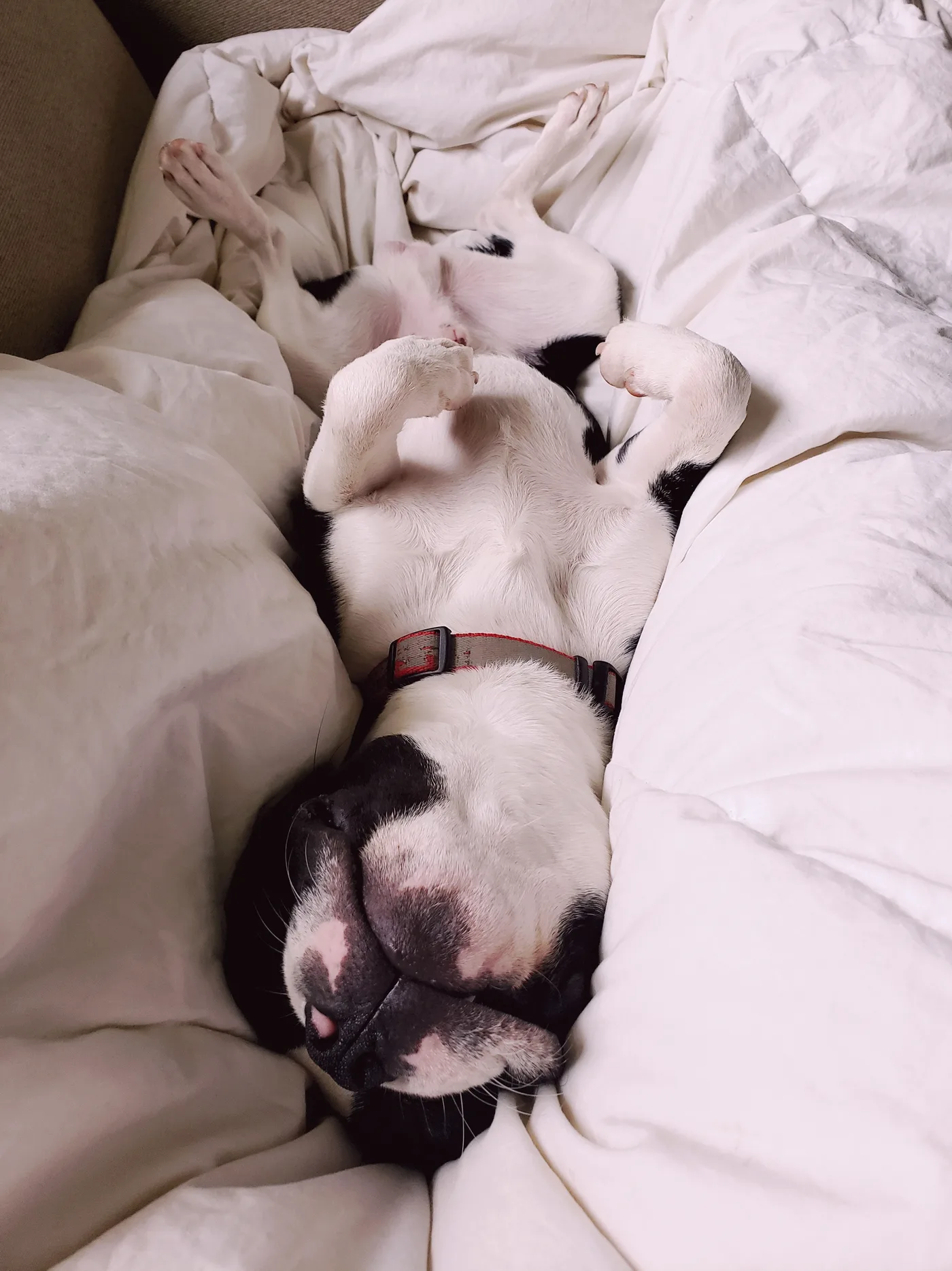 20190512_093323.jpg