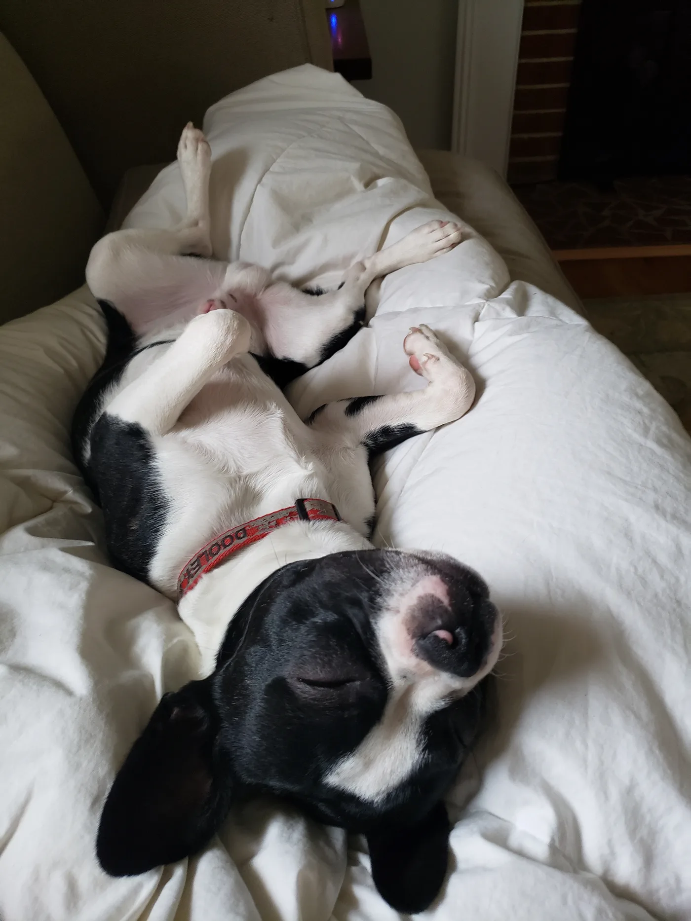 20190512_185401.jpg