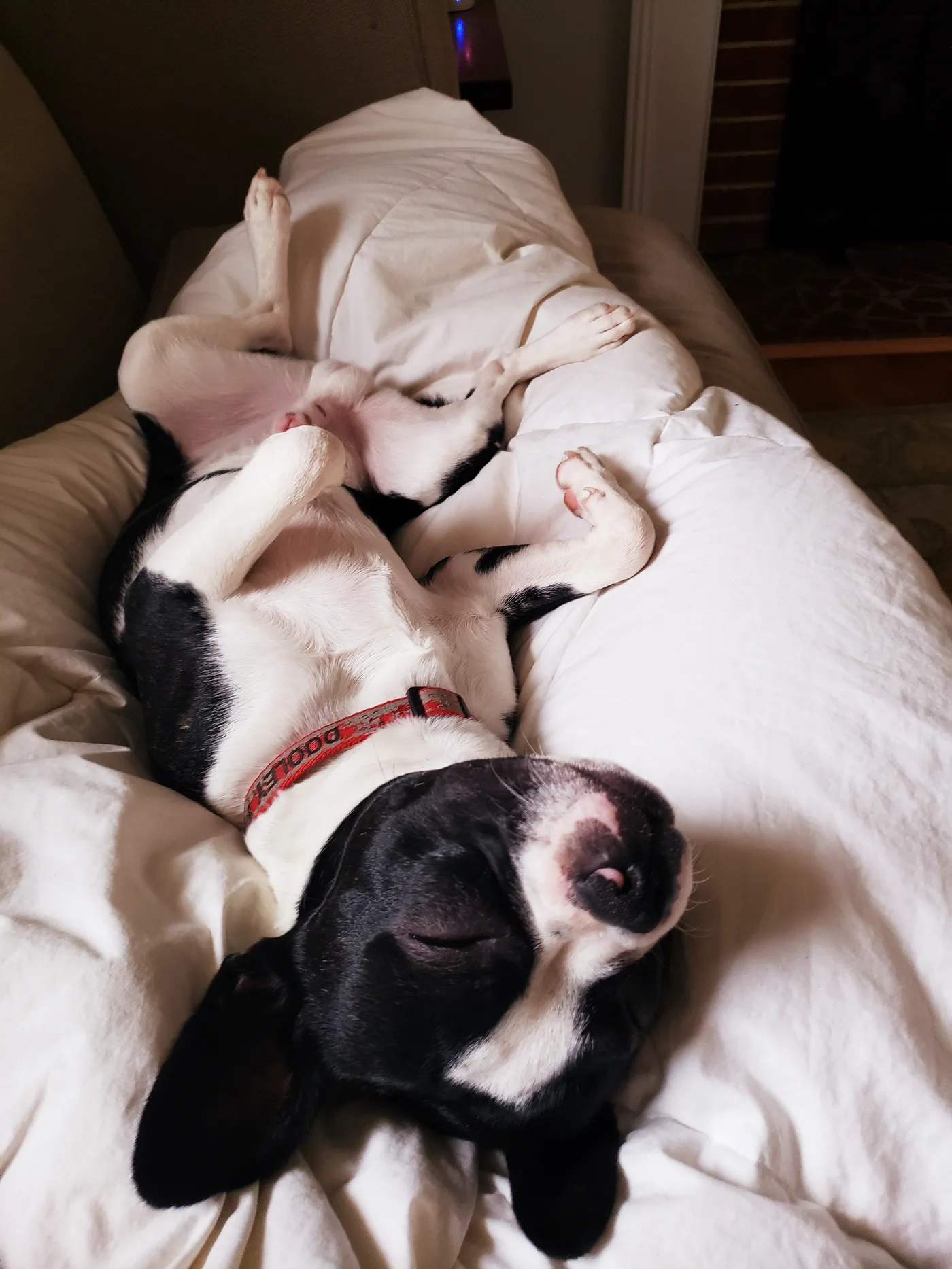 20190512_185545.jpg