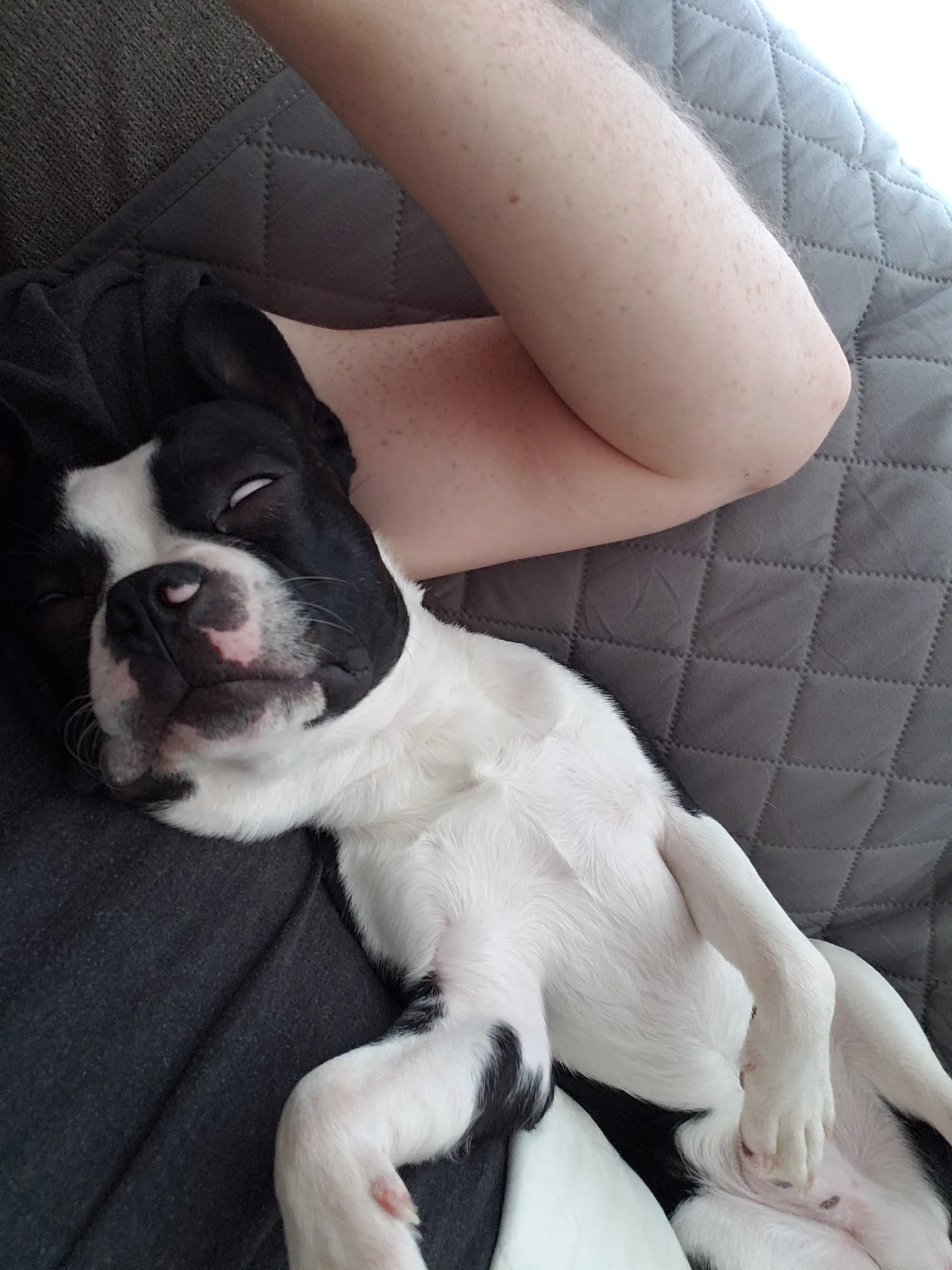 20190623_094201.jpg