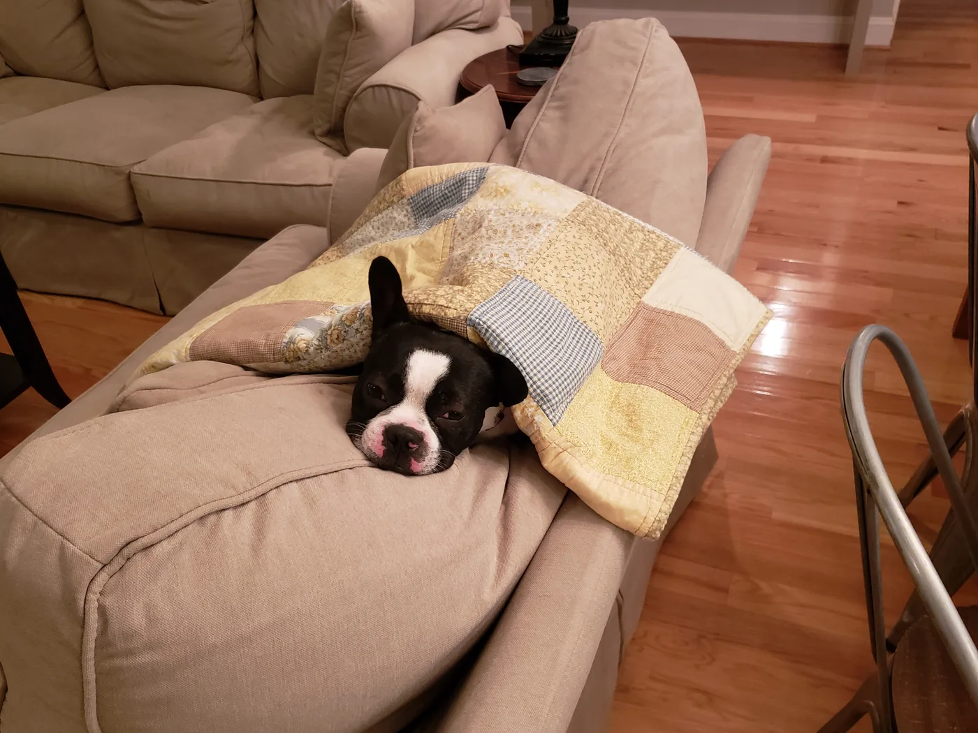 20190727_215735.jpg