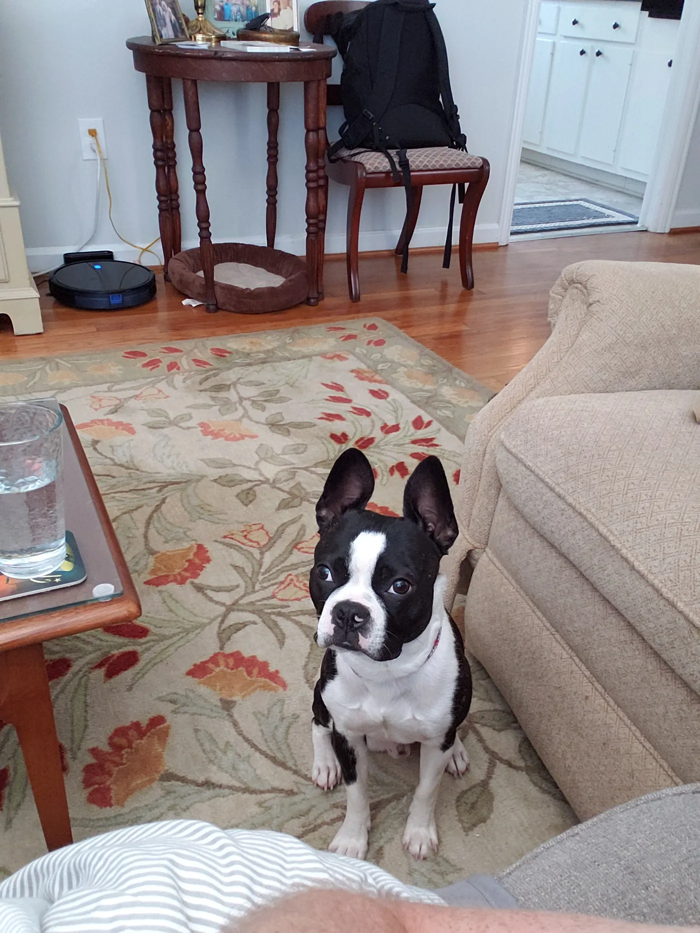 20190811_131547.jpg