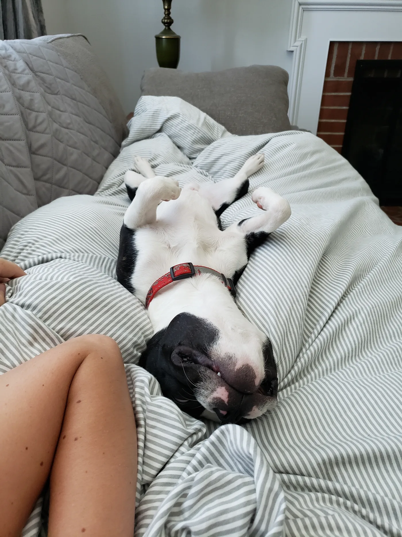 20190825_085201.jpg