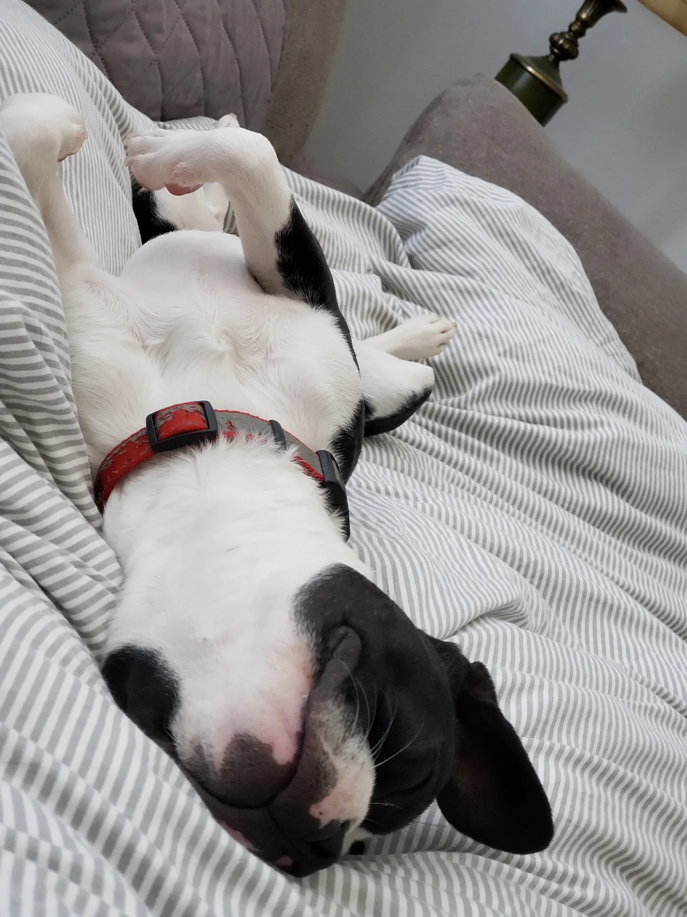20190825_090424.jpg