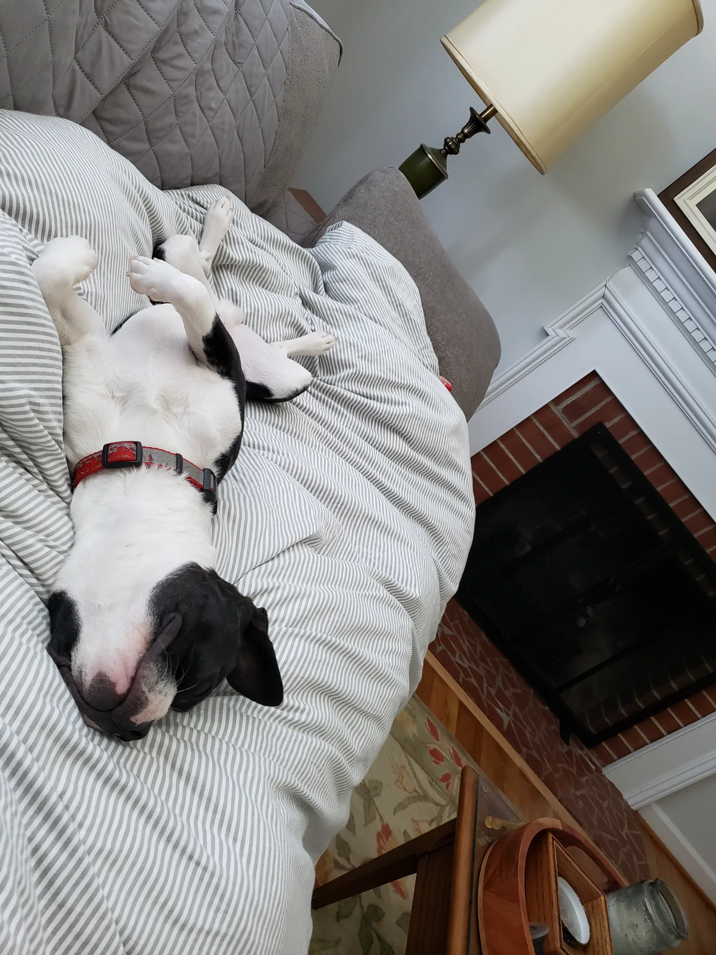 20190825_090436.jpg