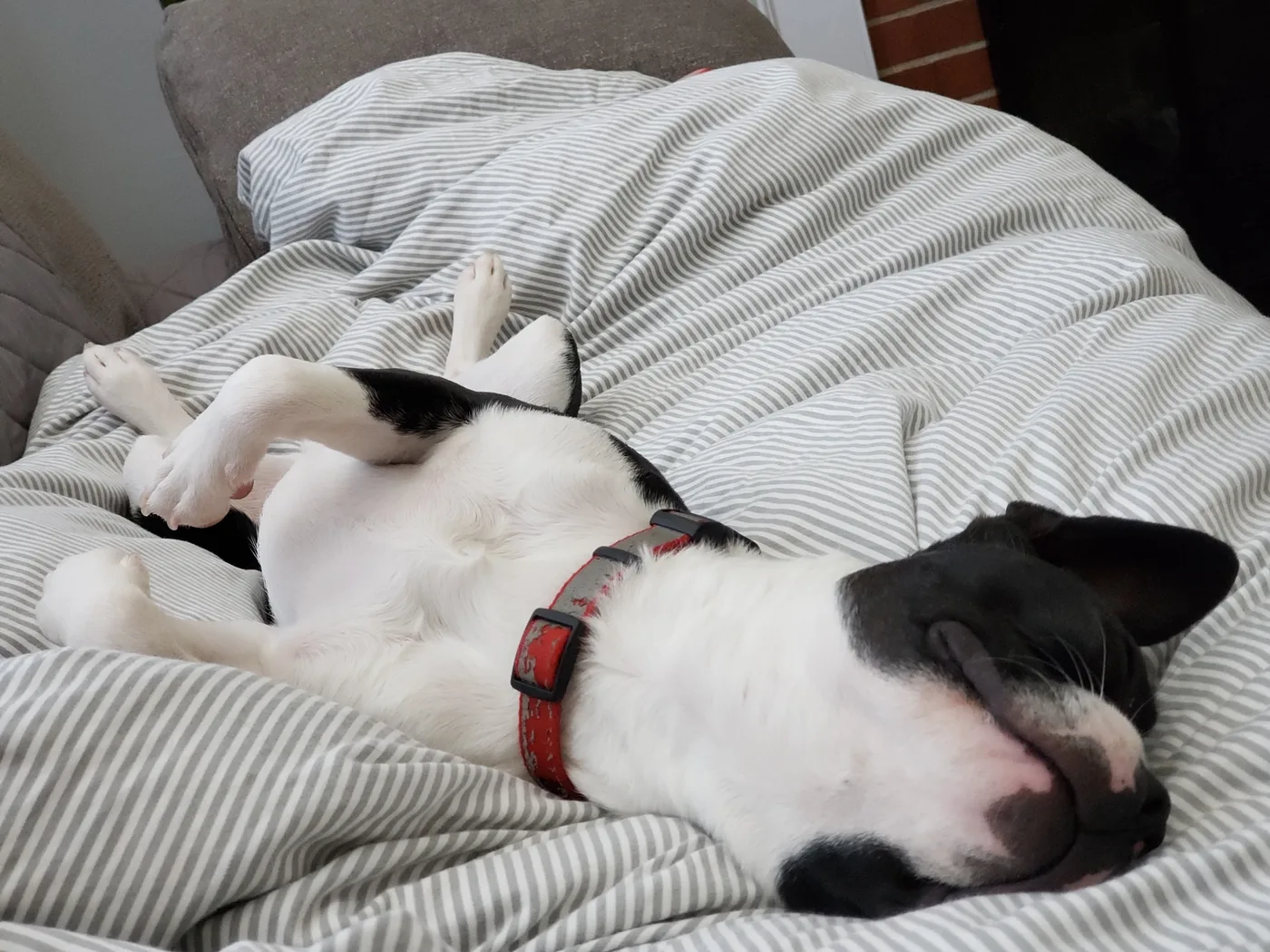20190825_090445.jpg