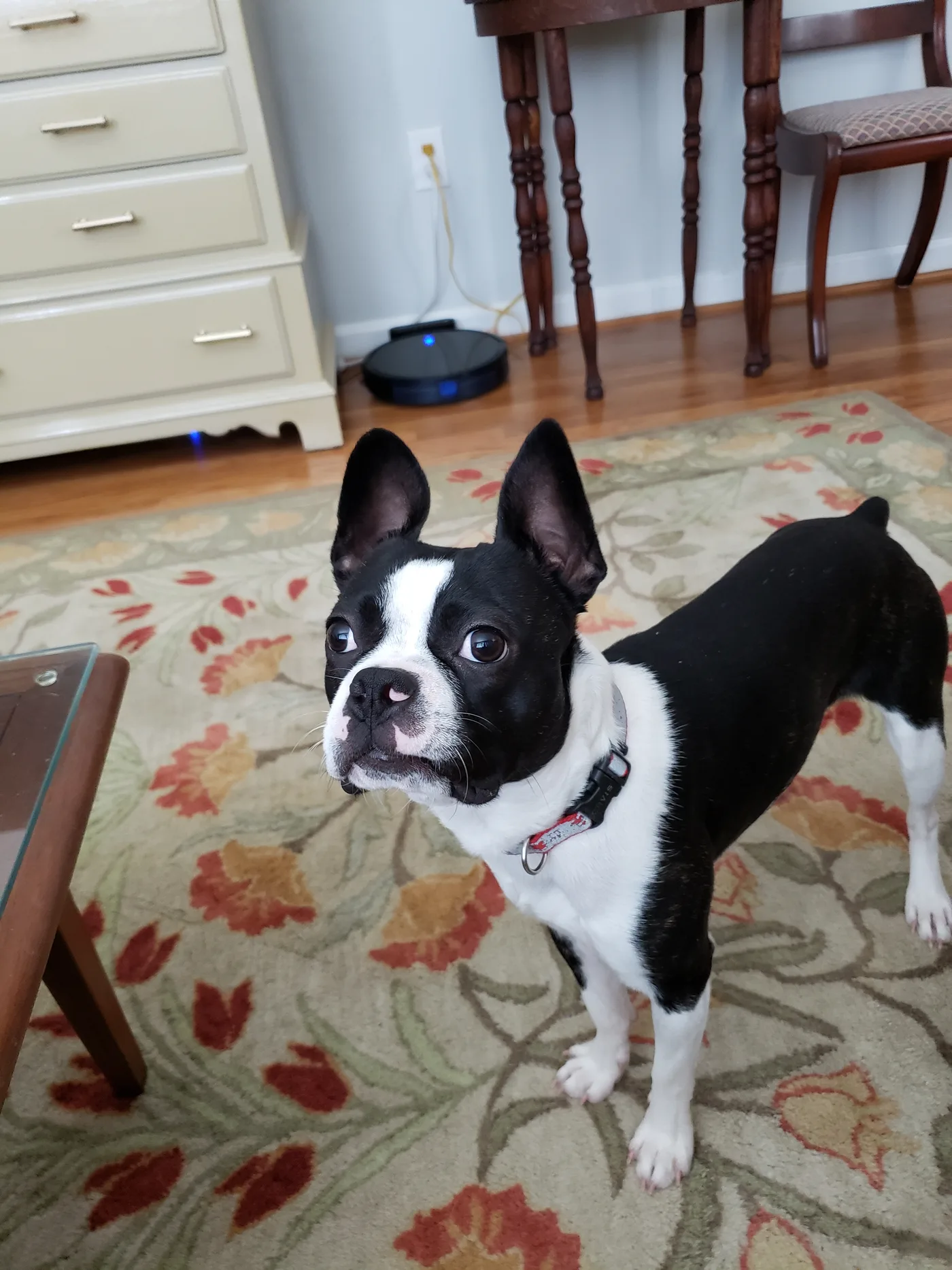 20190825_134024.jpg