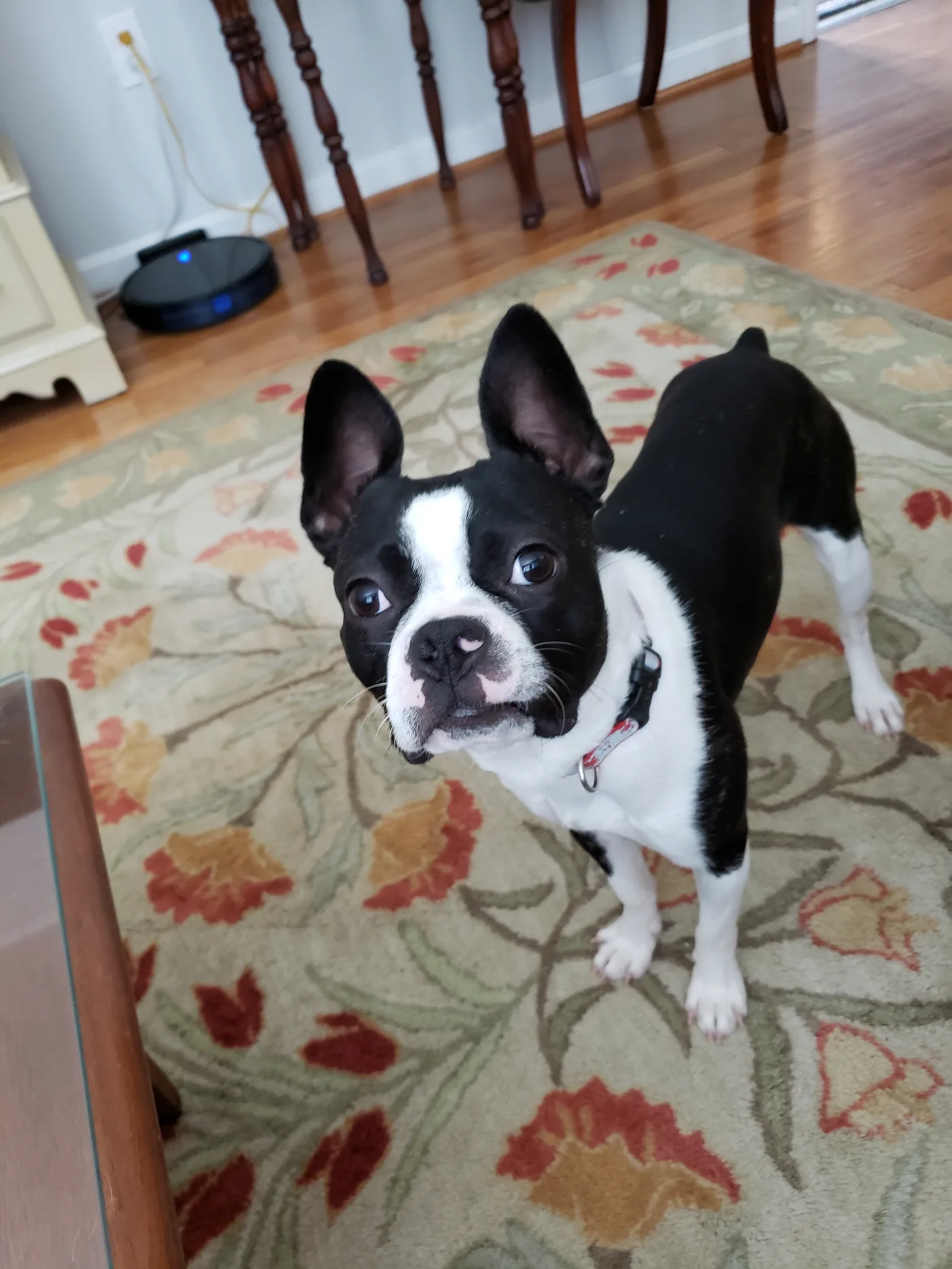 20190825_134031.jpg