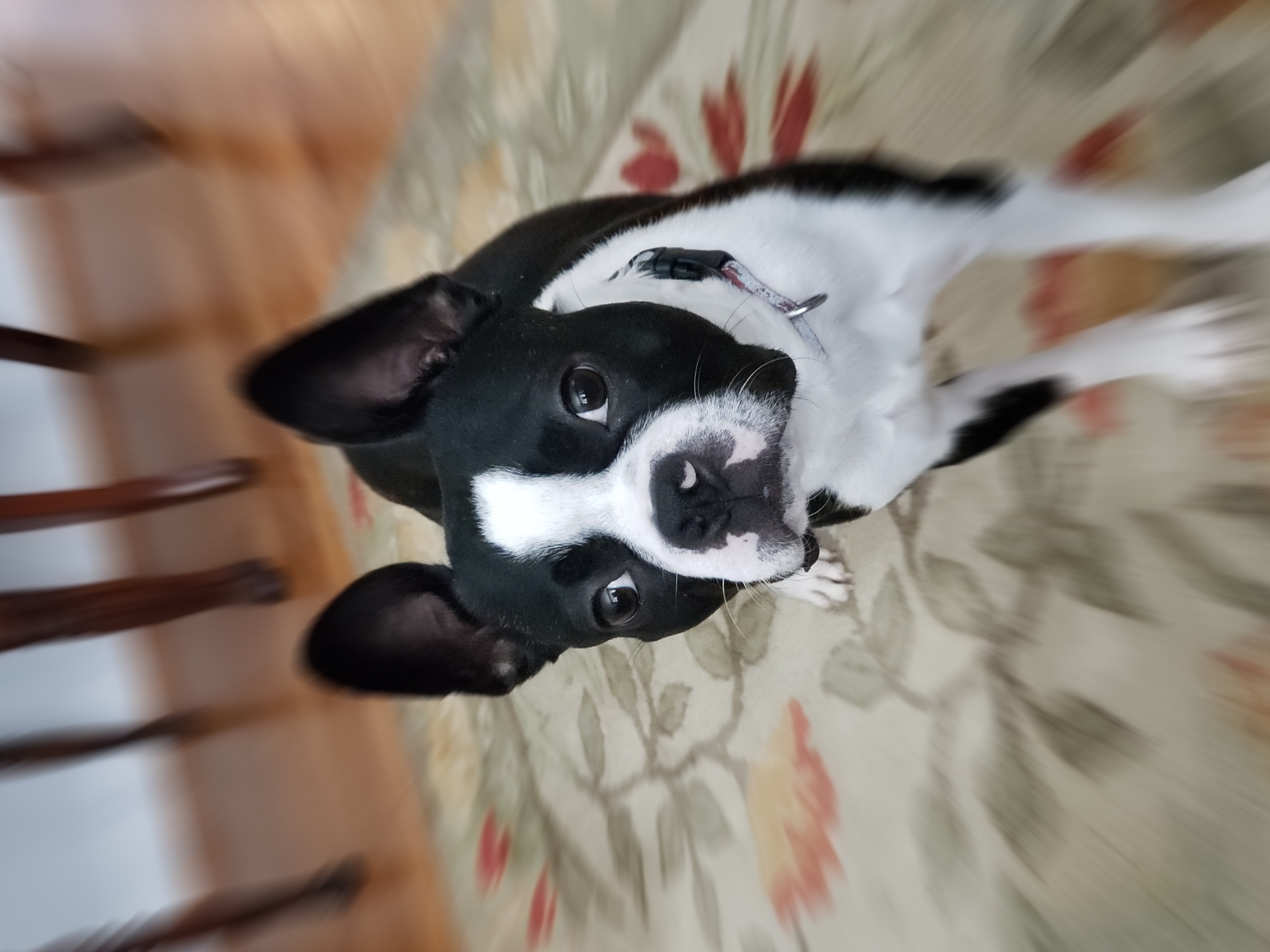 20190825_134152.jpg