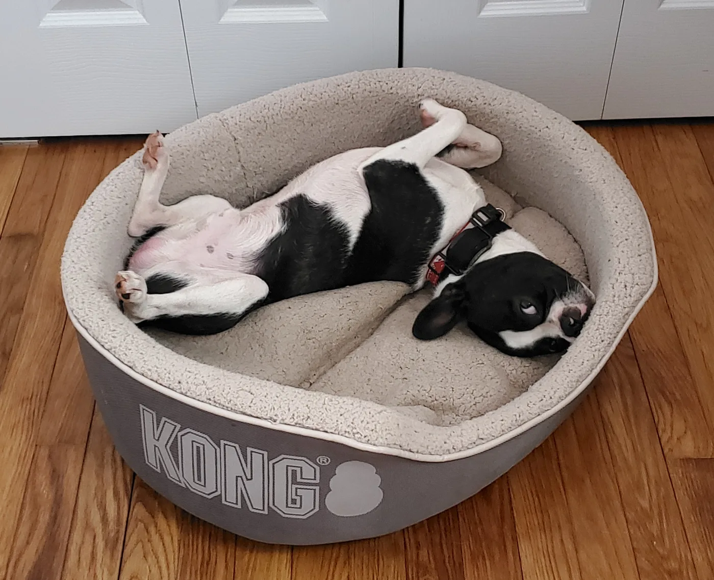 20190905_234626.jpg