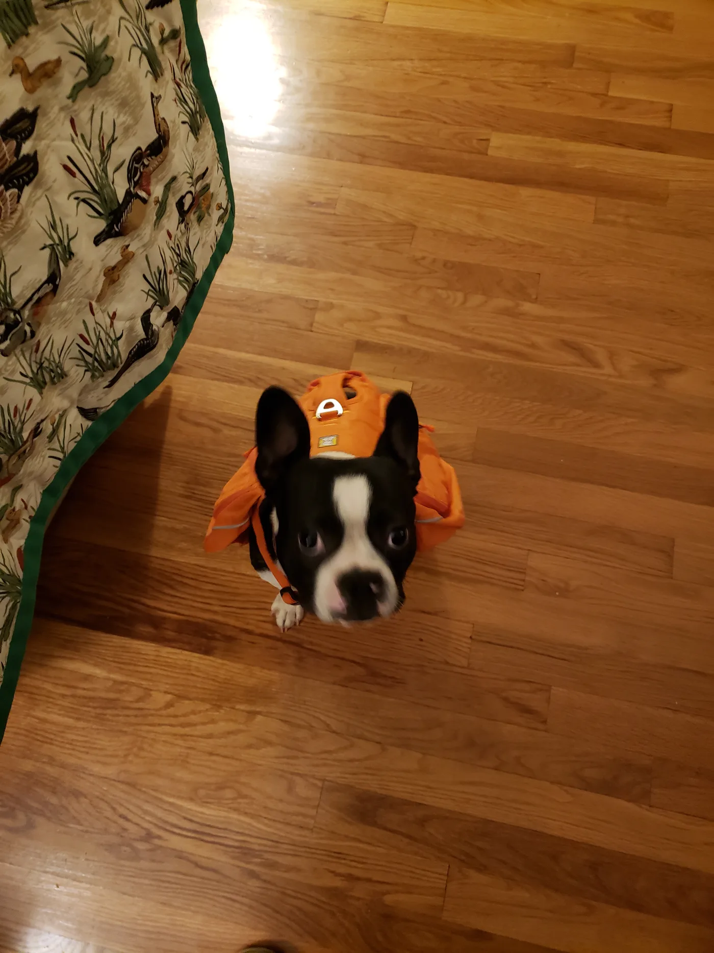 20190920_195235.jpg