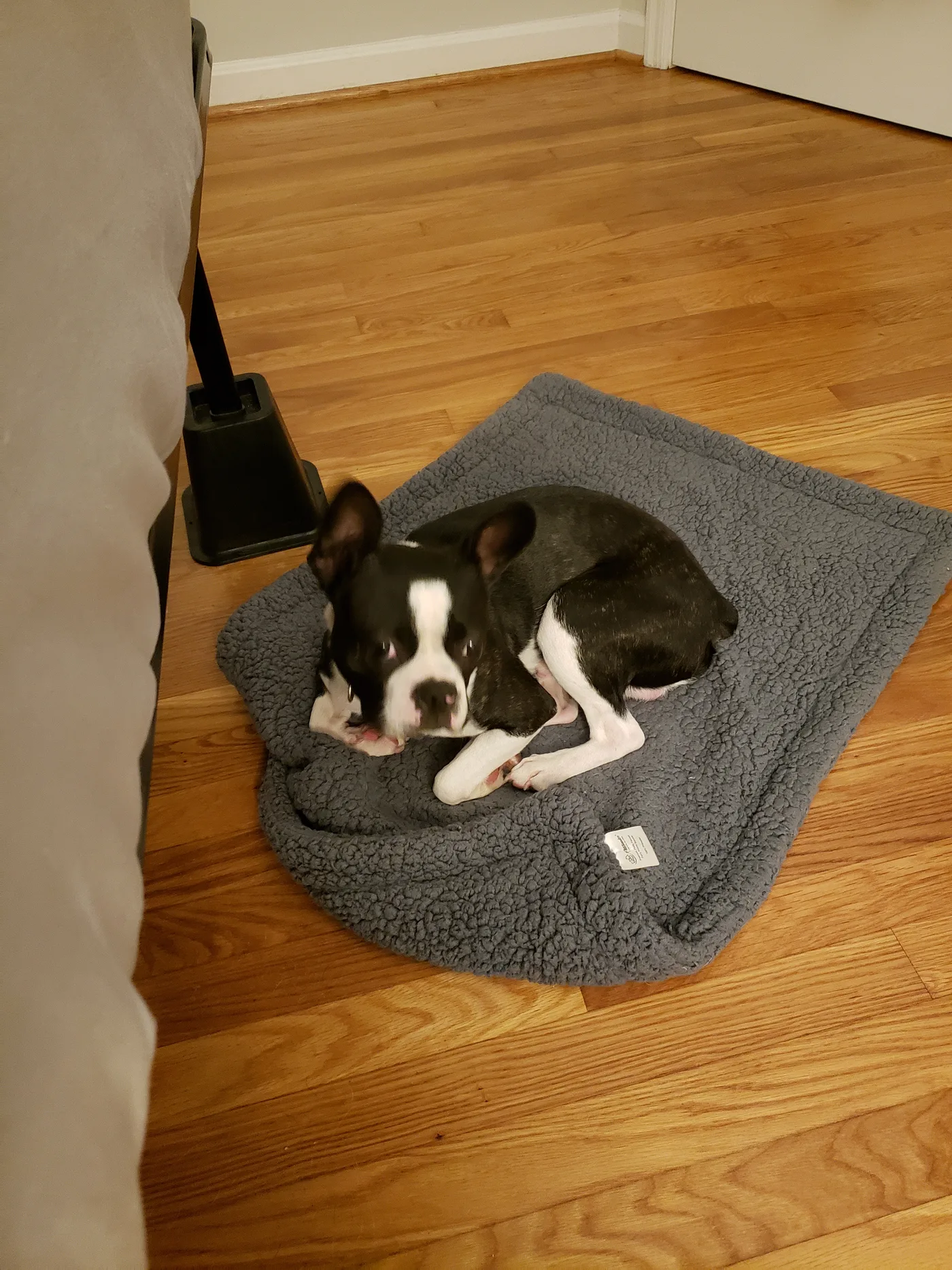 20190924_002851.jpg
