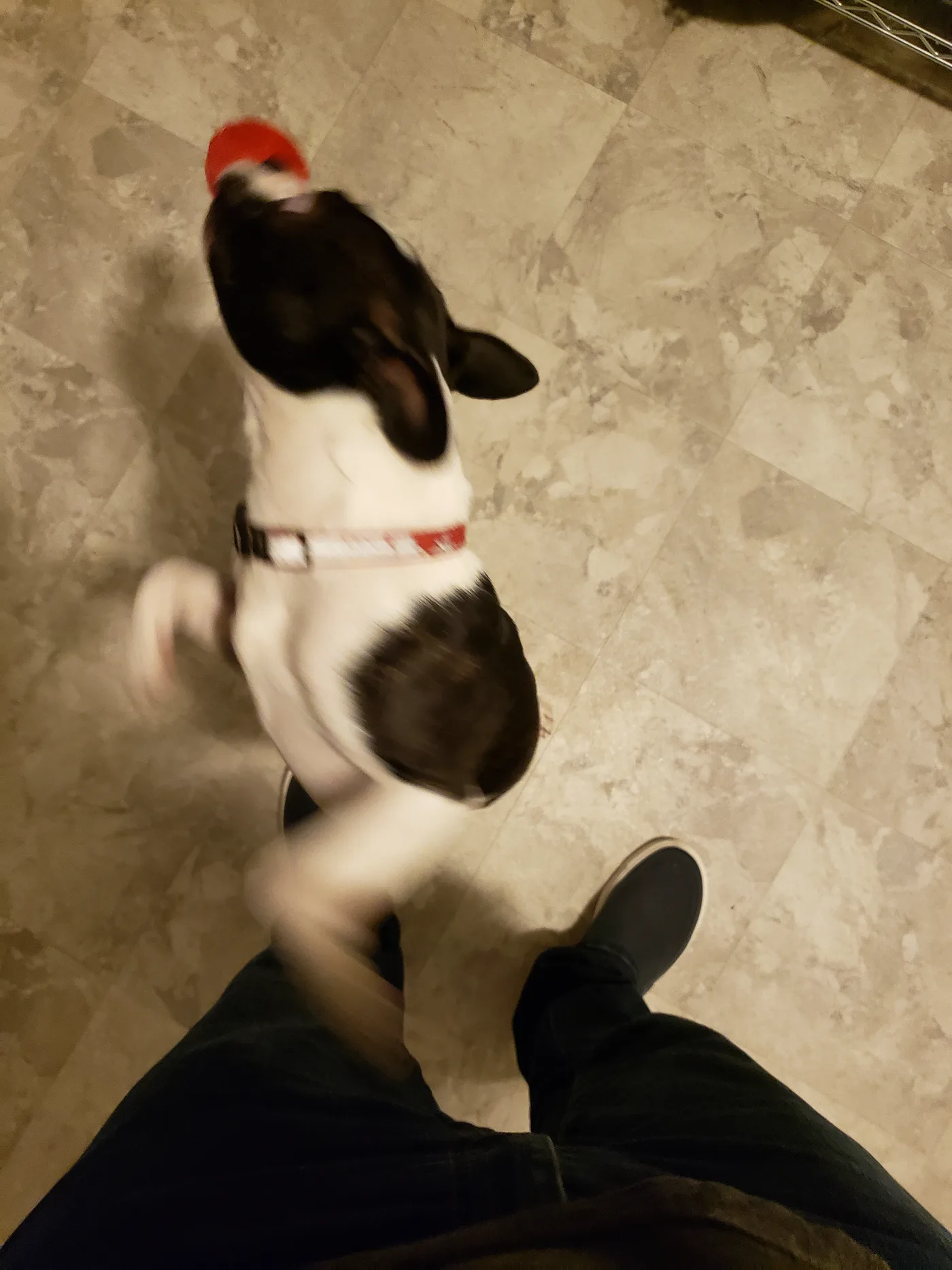 20191002_191639.jpg