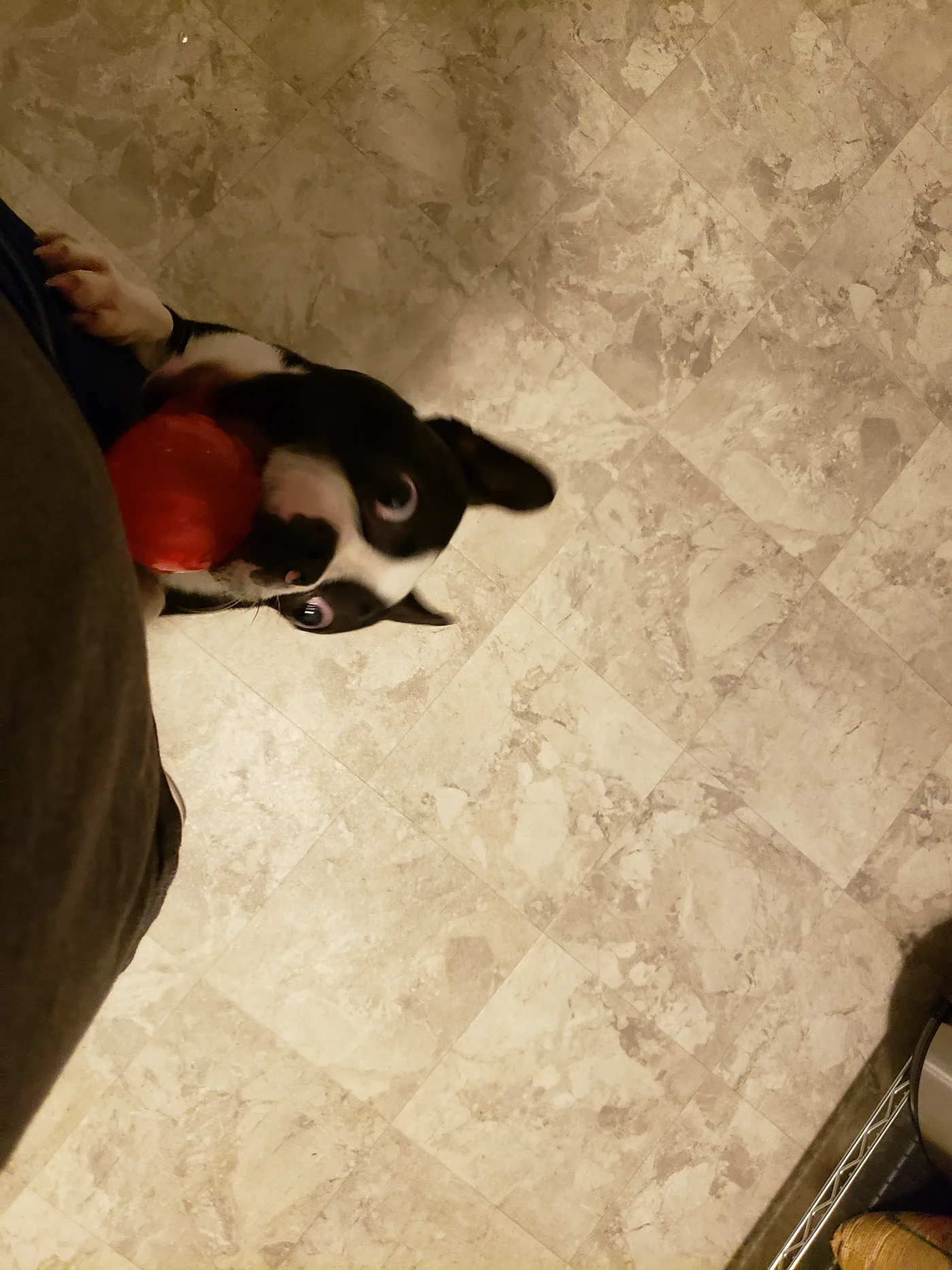 20191002_191649.jpg