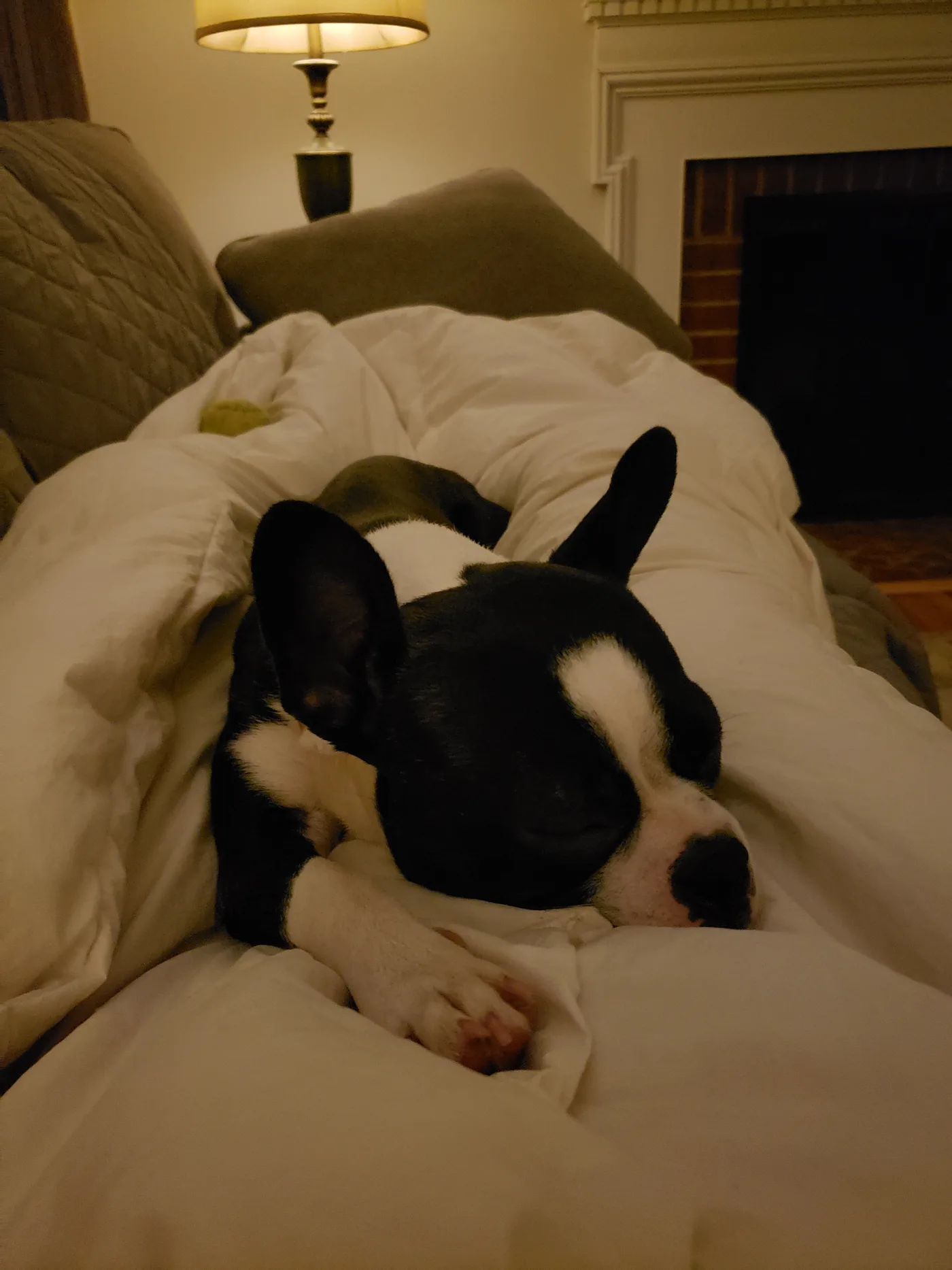 20191102_050510.jpg