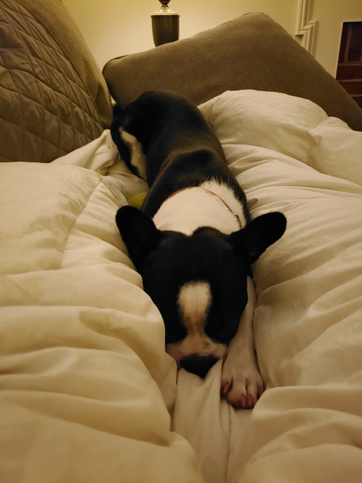 20191102_051541.jpg