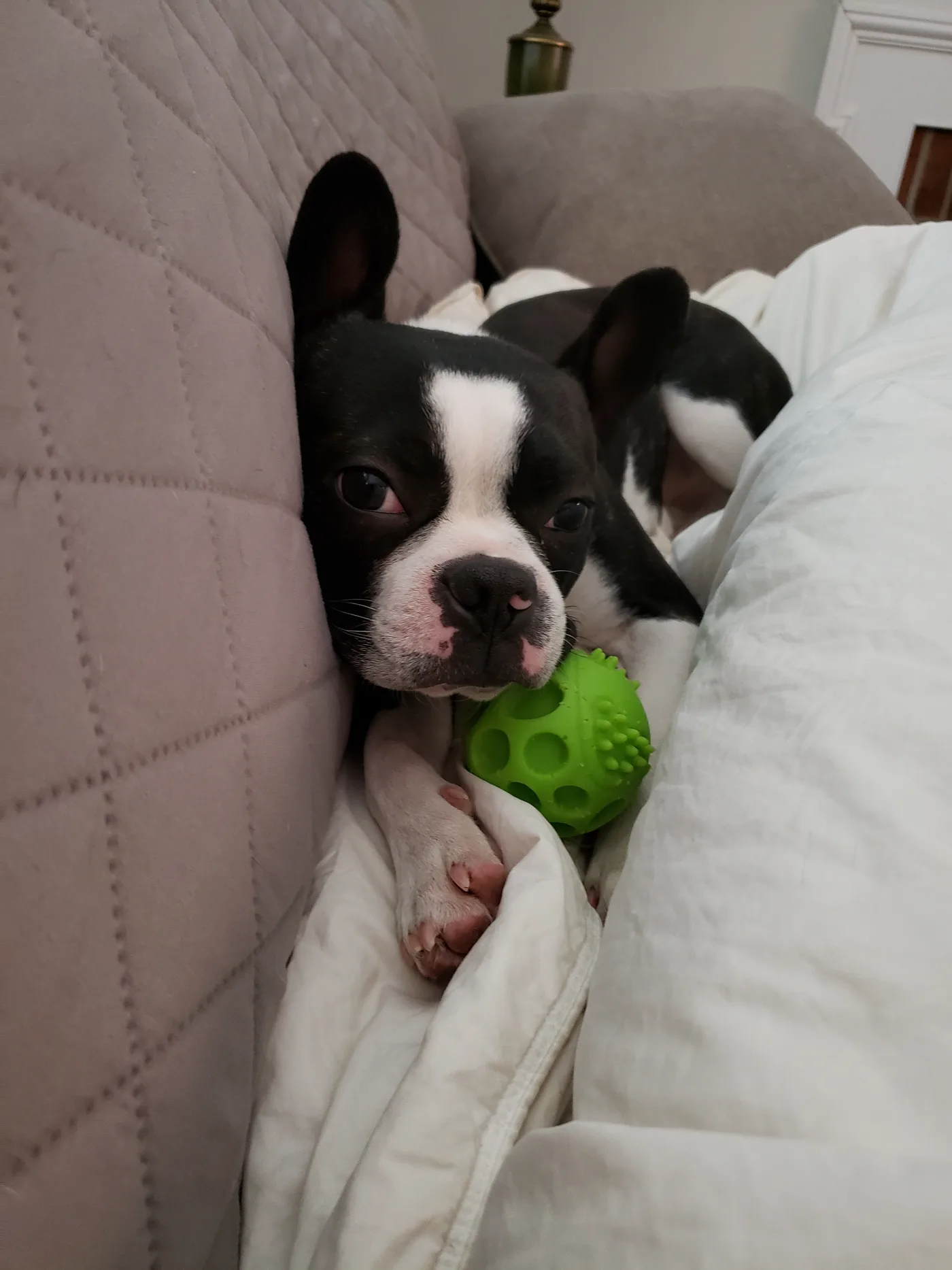 20191109_164923.jpg