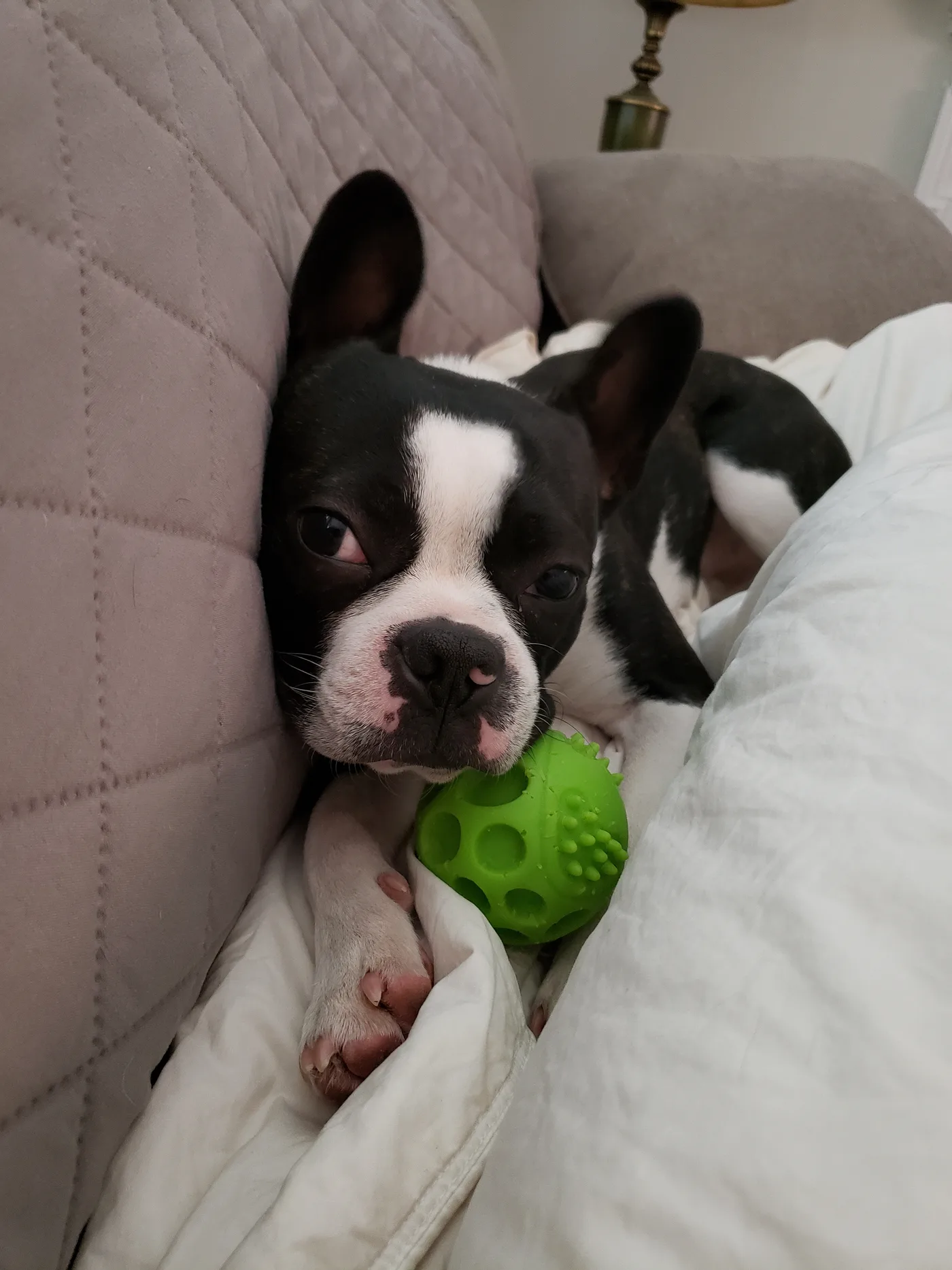 20191109_164929.jpg