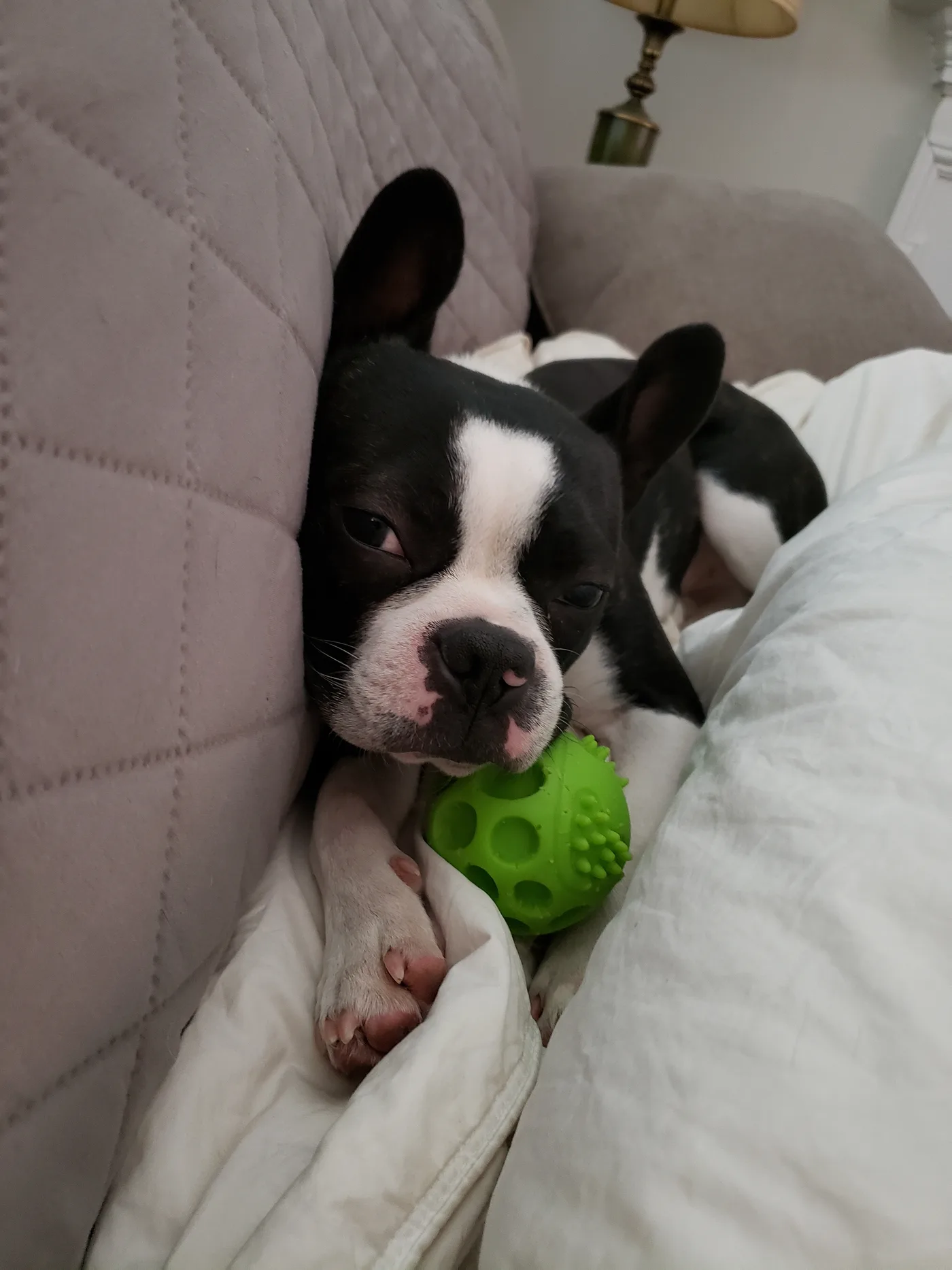 20191109_164940.jpg