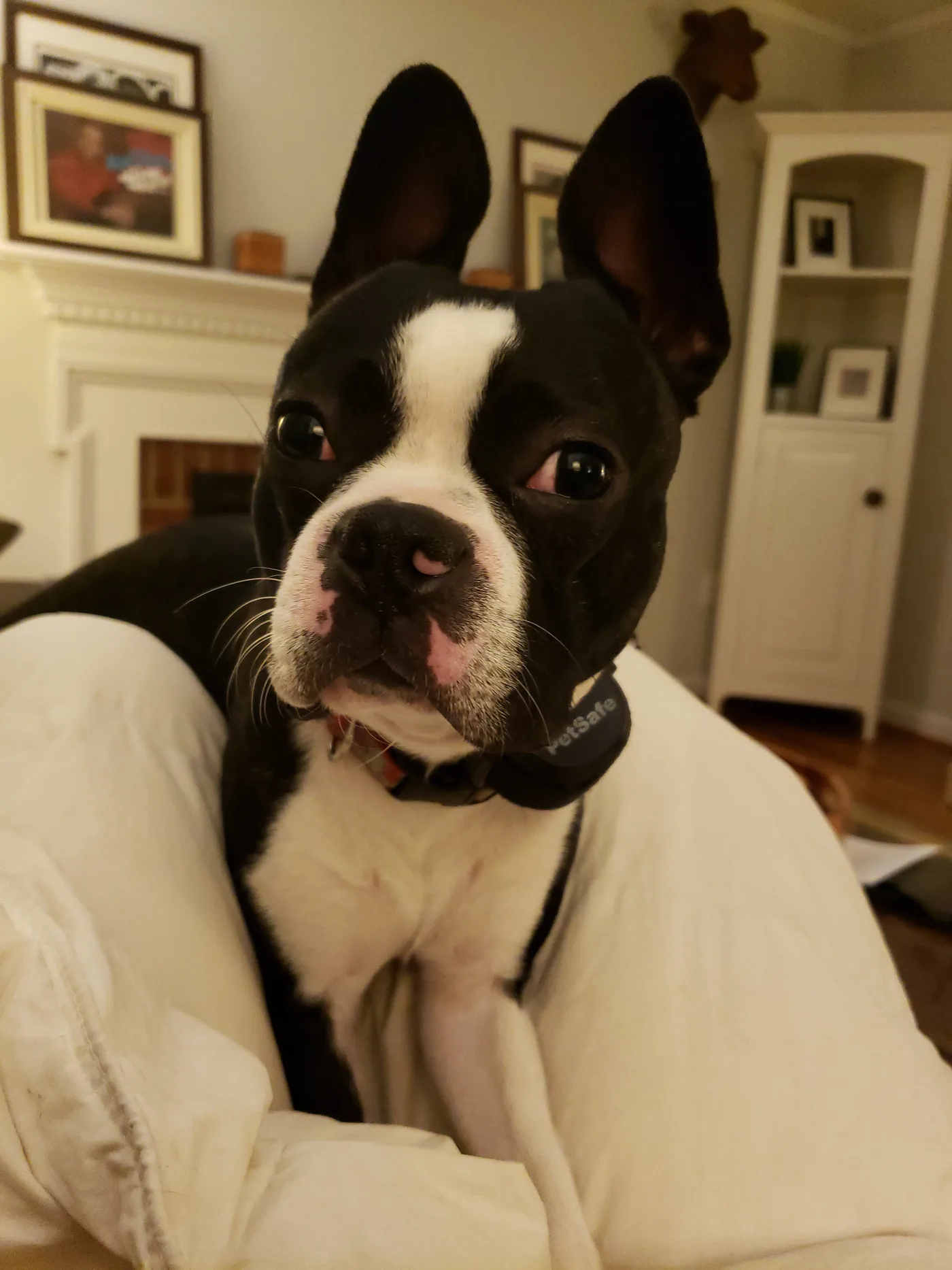 20191119_192147.jpg