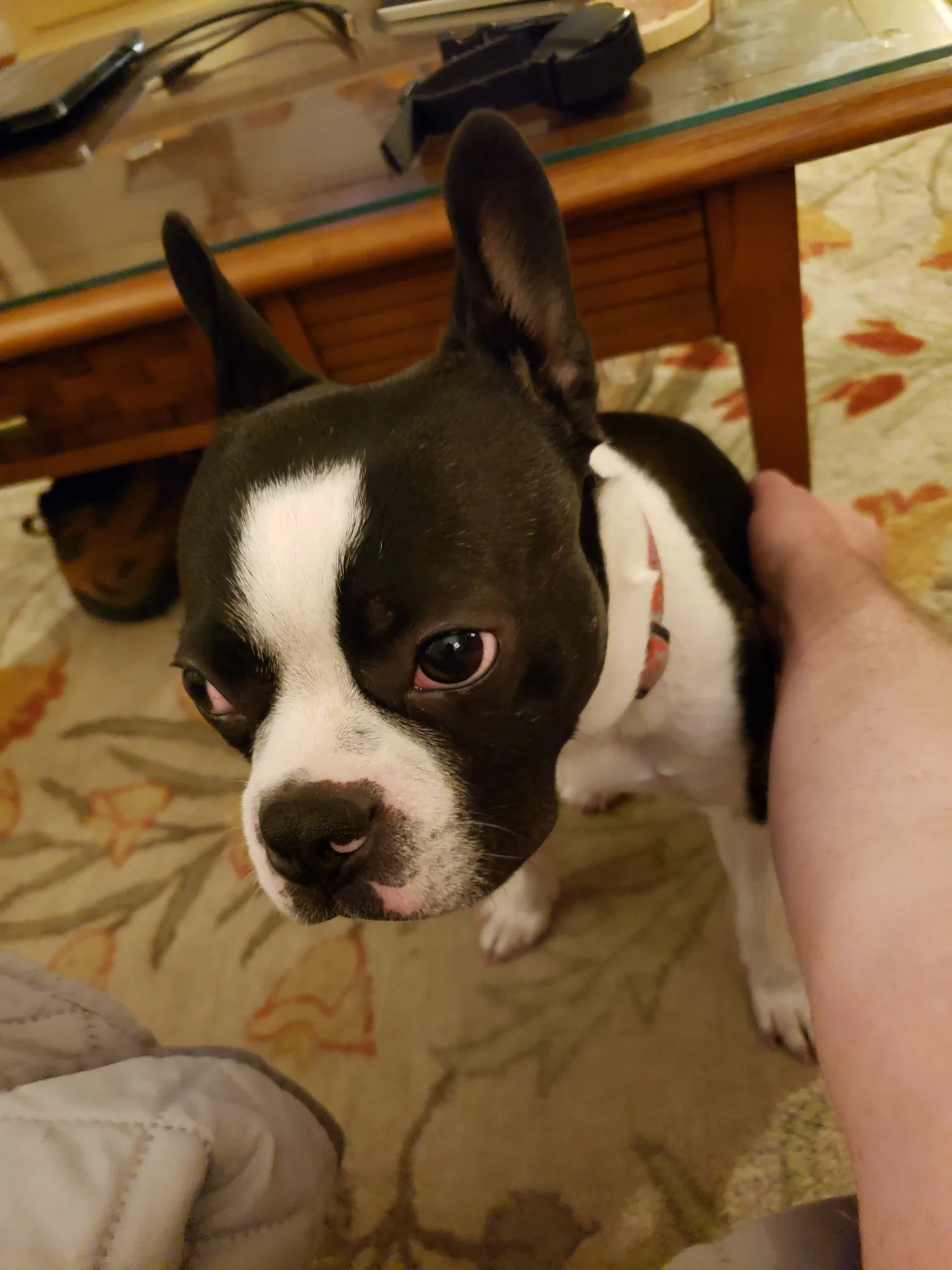 20191119_211833.jpg