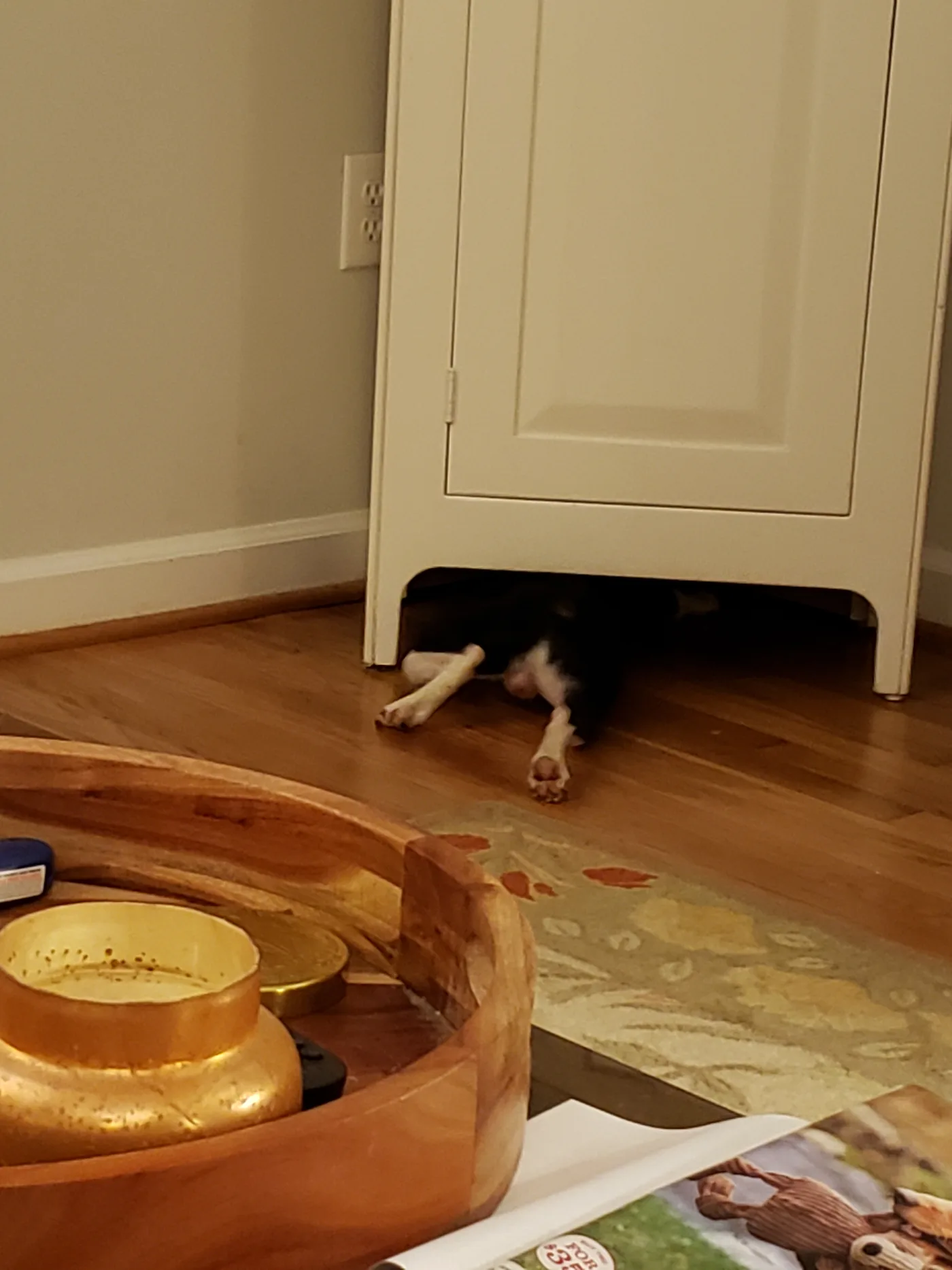 20191126_221702.jpg