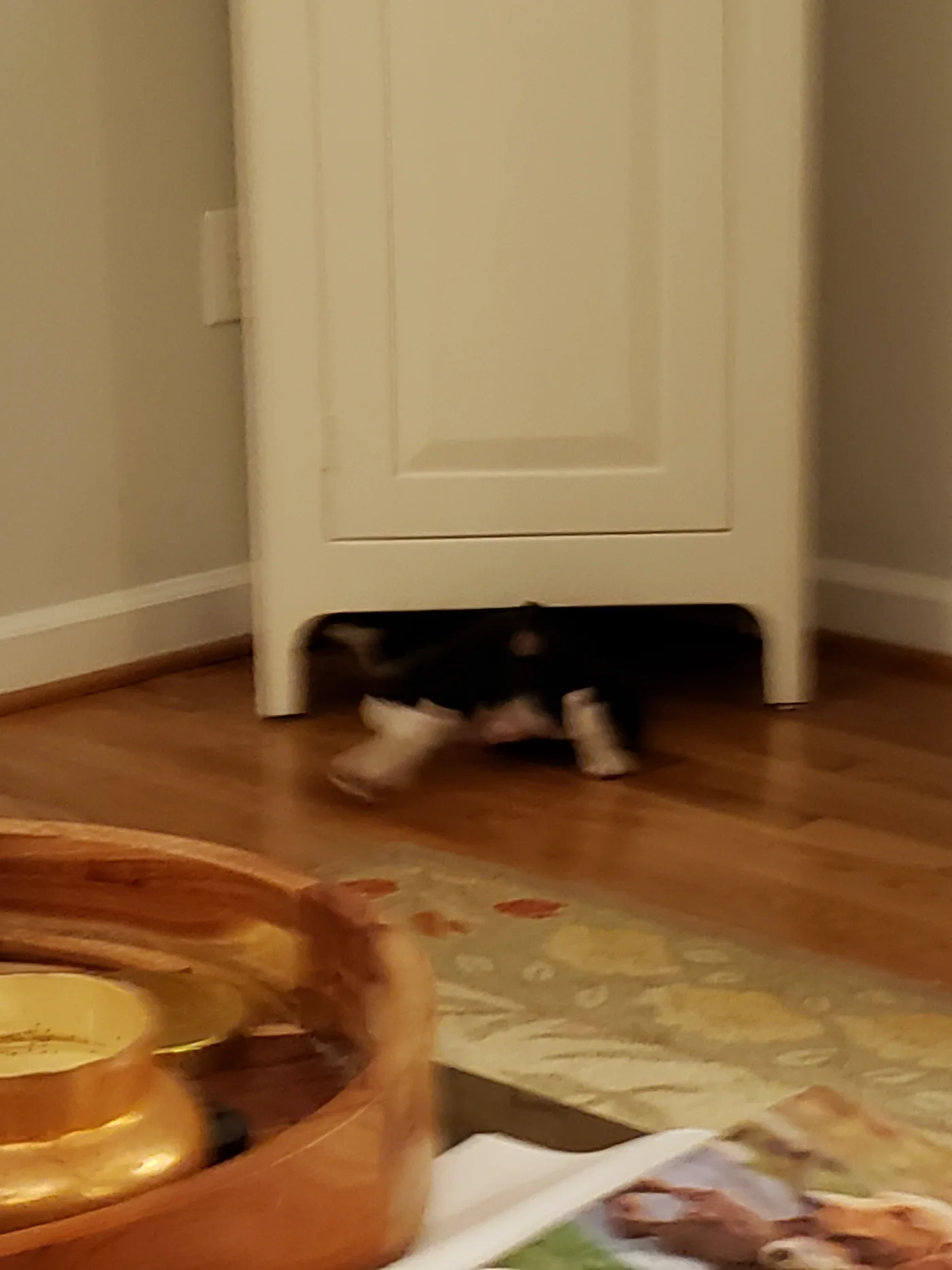 20191126_221704.jpg