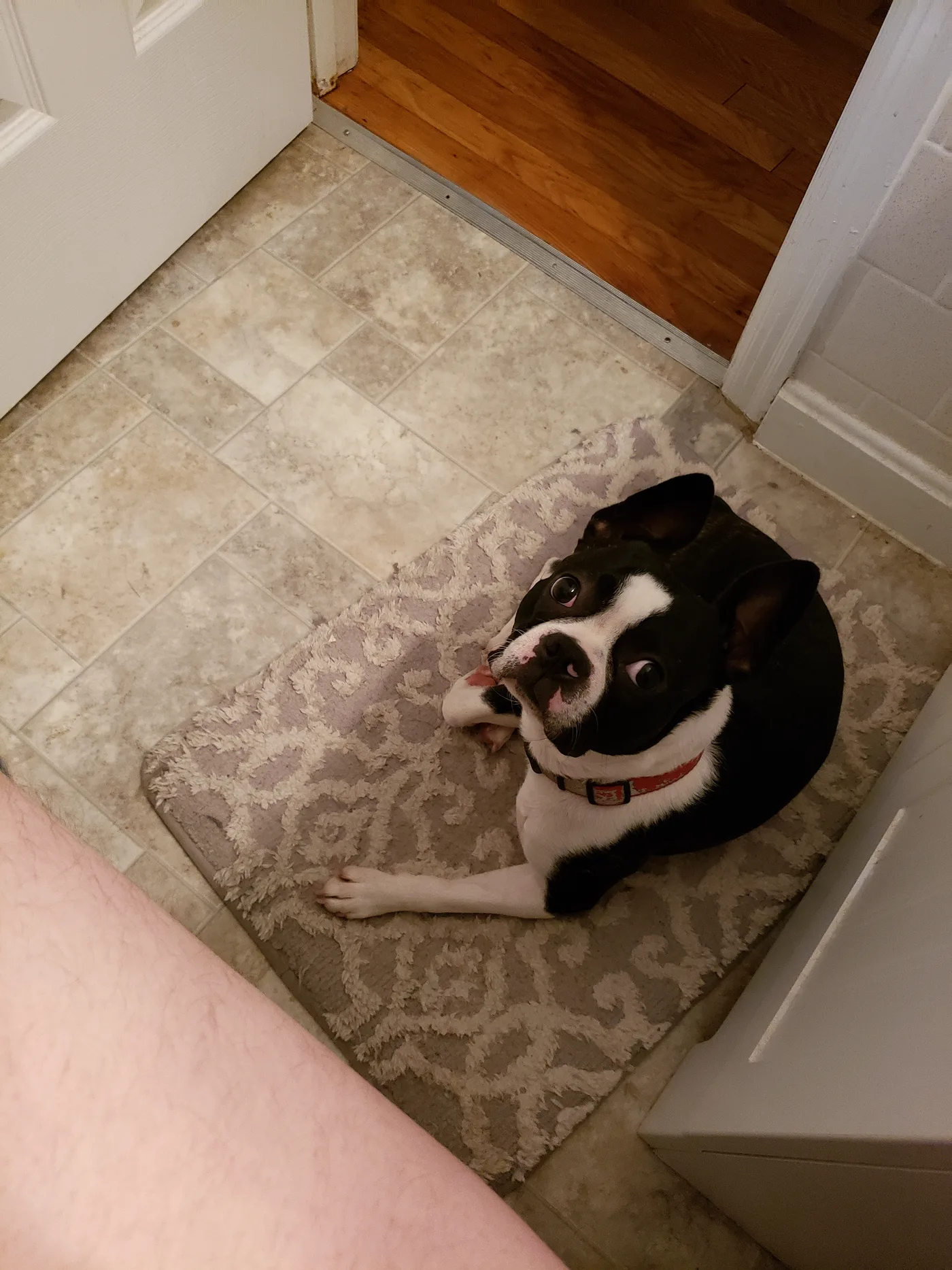 20191201_155429.jpg