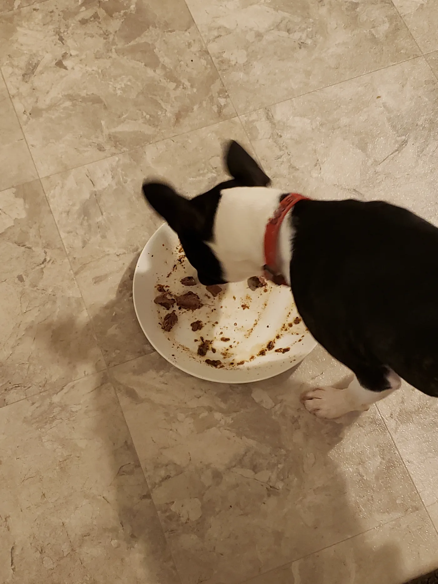 20191201_201640.jpg