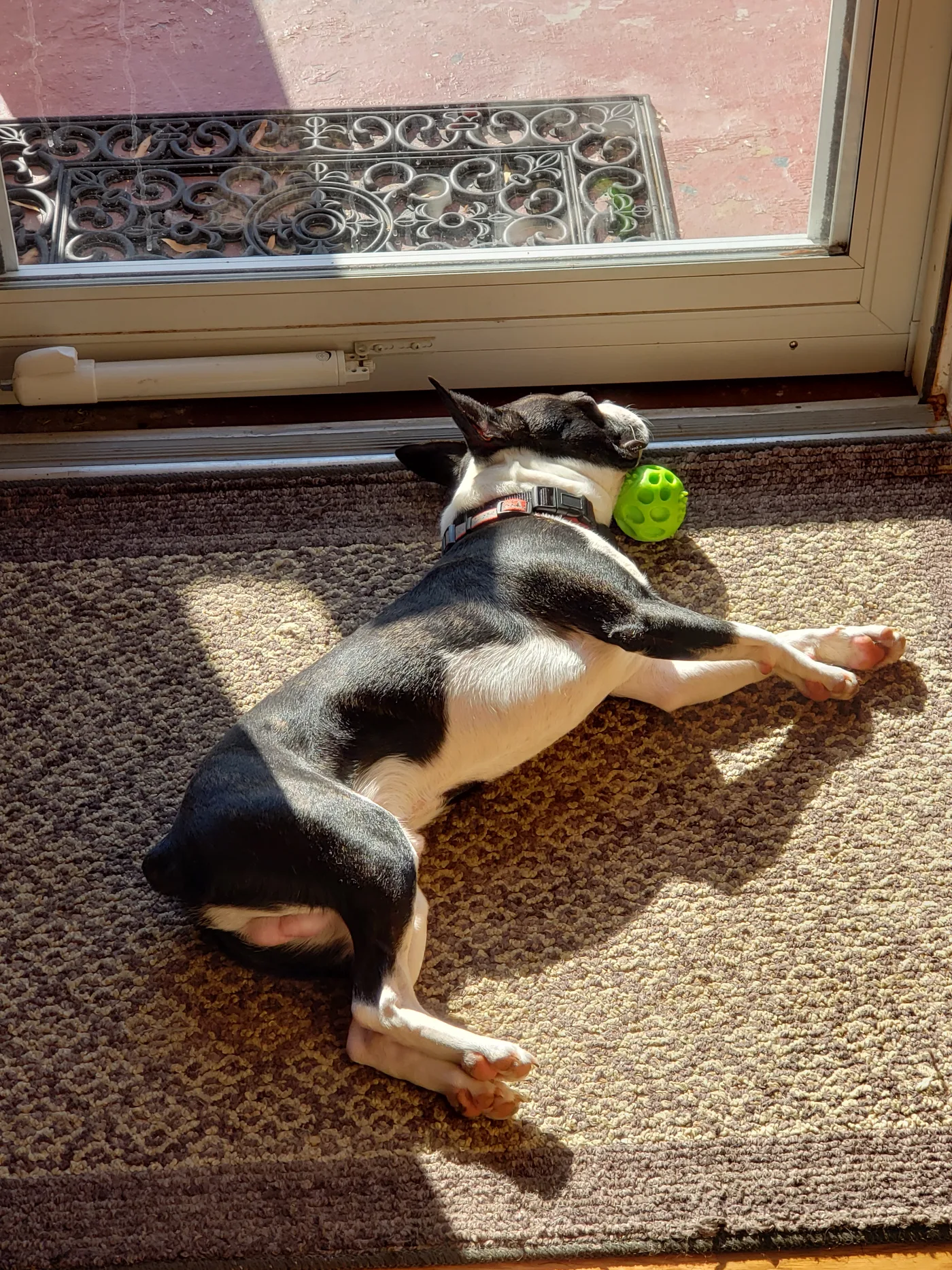 20191207_111148.jpg