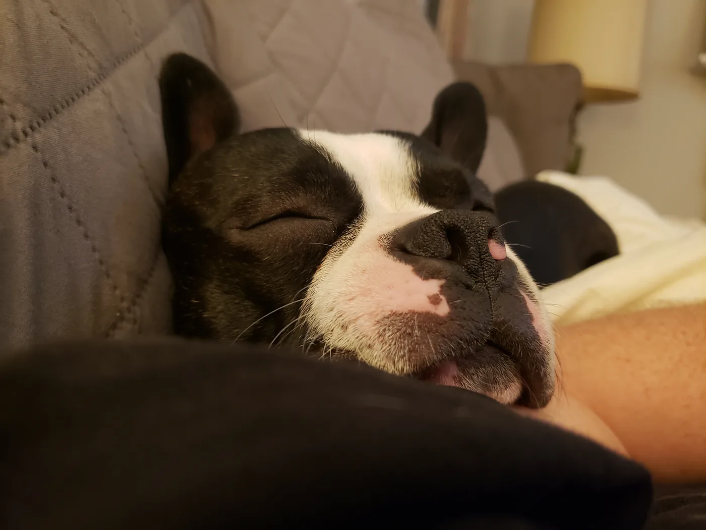 20191215_205749.jpg