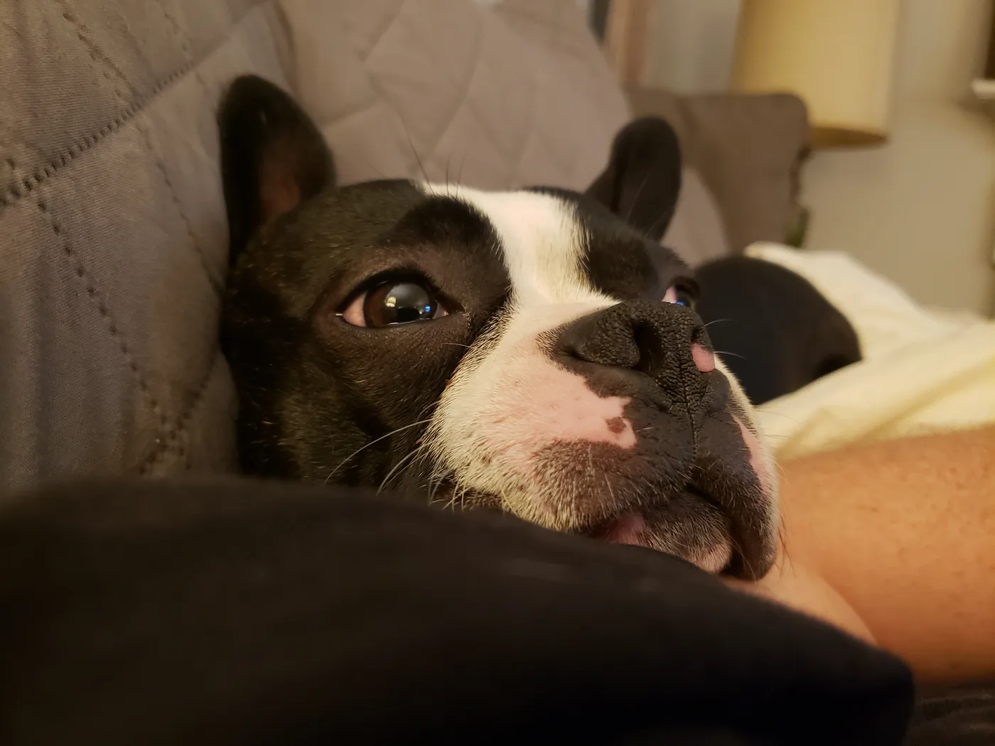 20191215_205753.jpg