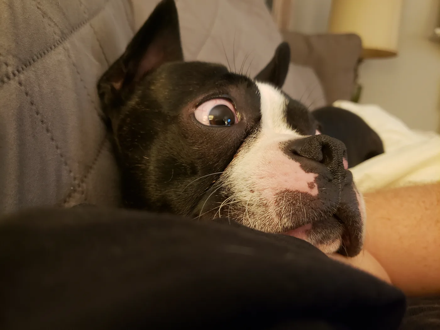 20191215_205755.jpg