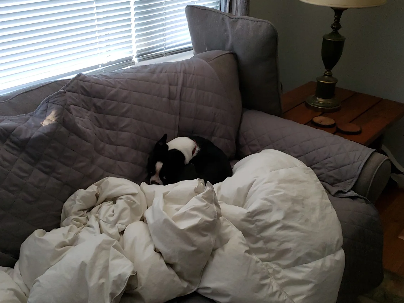 20191218_081235.jpg