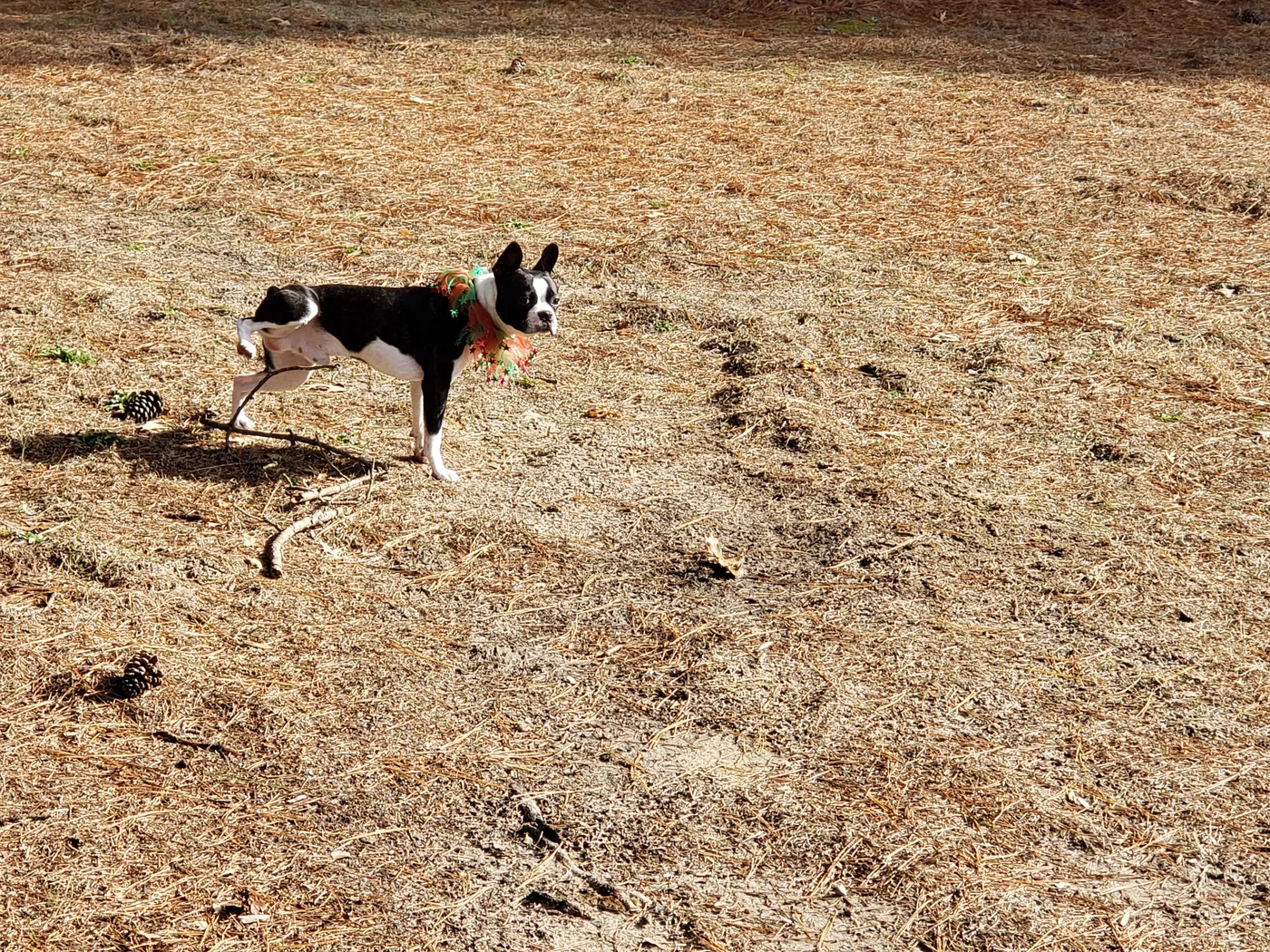 20191225_123107.jpg