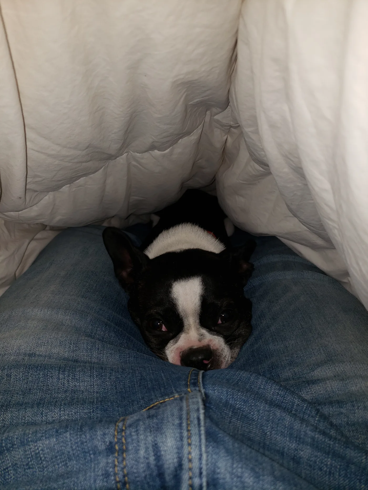 20201006_212347.jpg