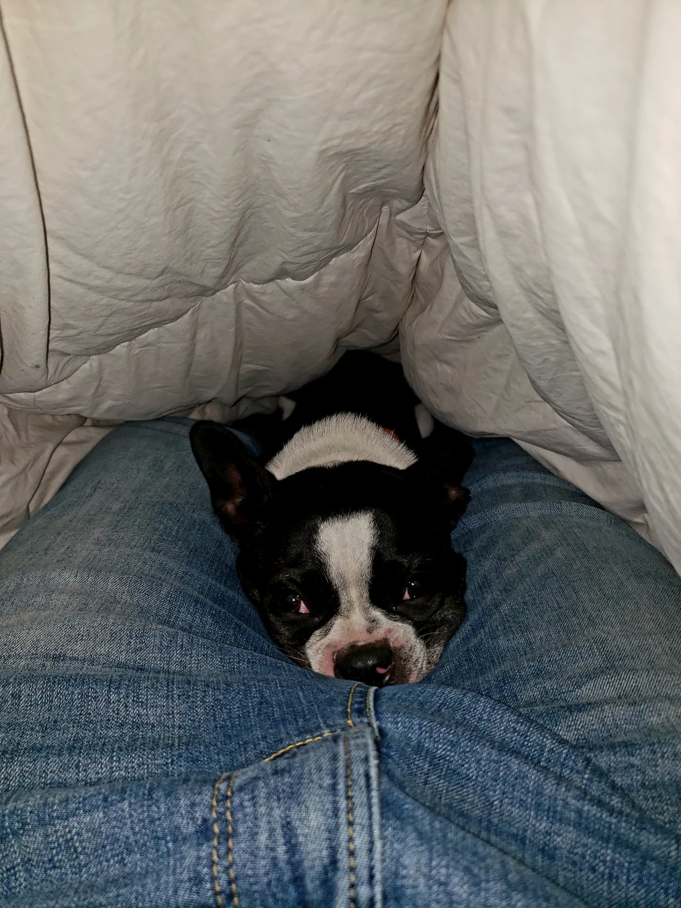 20201006_212441.jpg