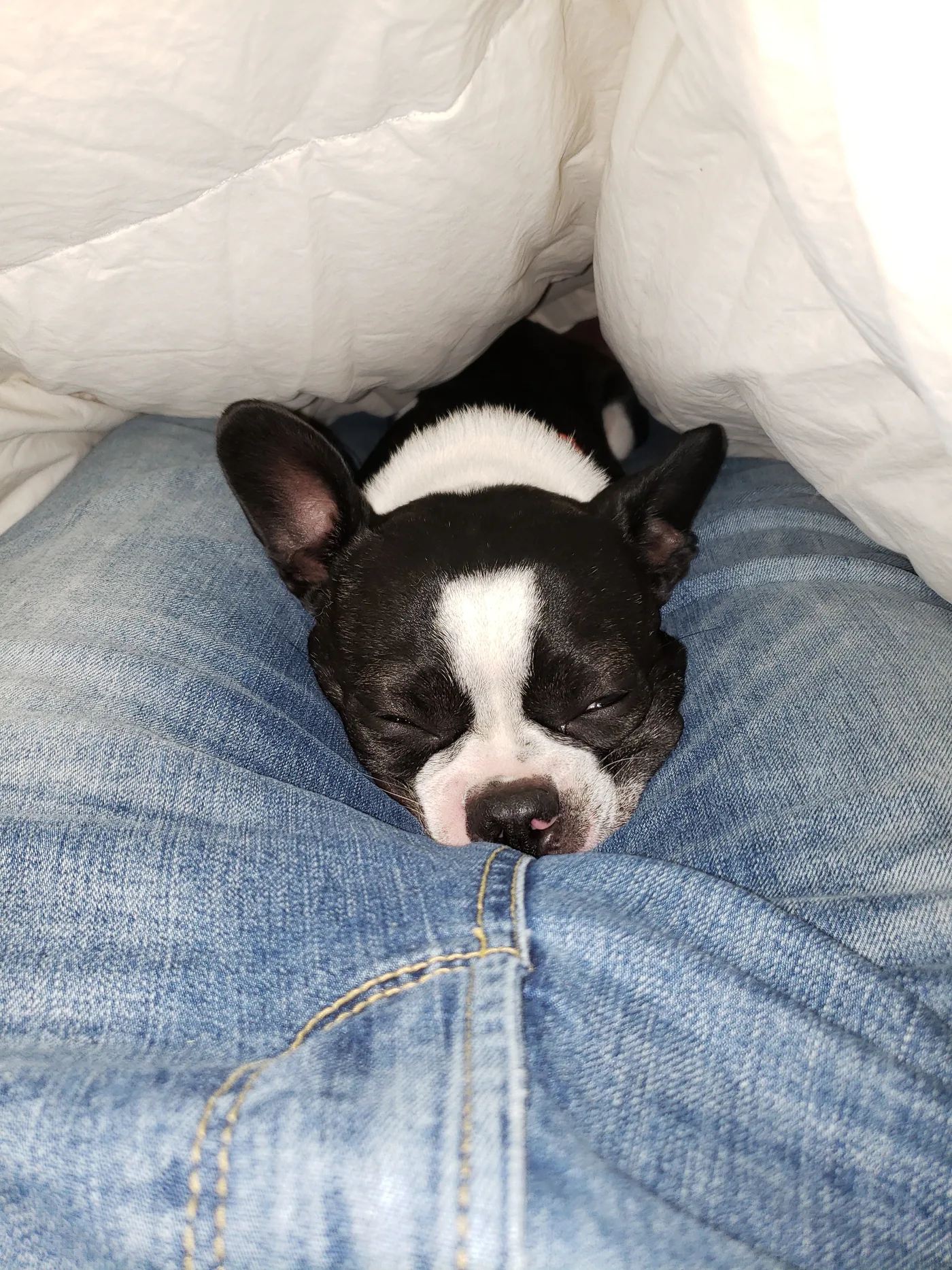 20201006_212839.jpg