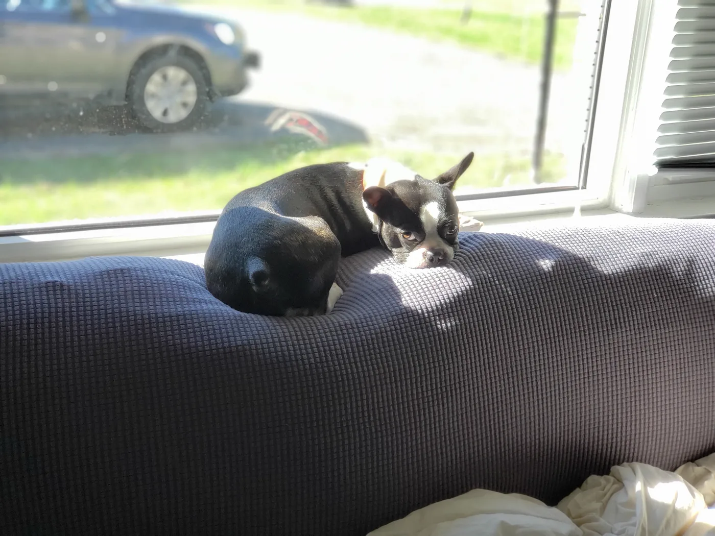 20201015_103851.jpg