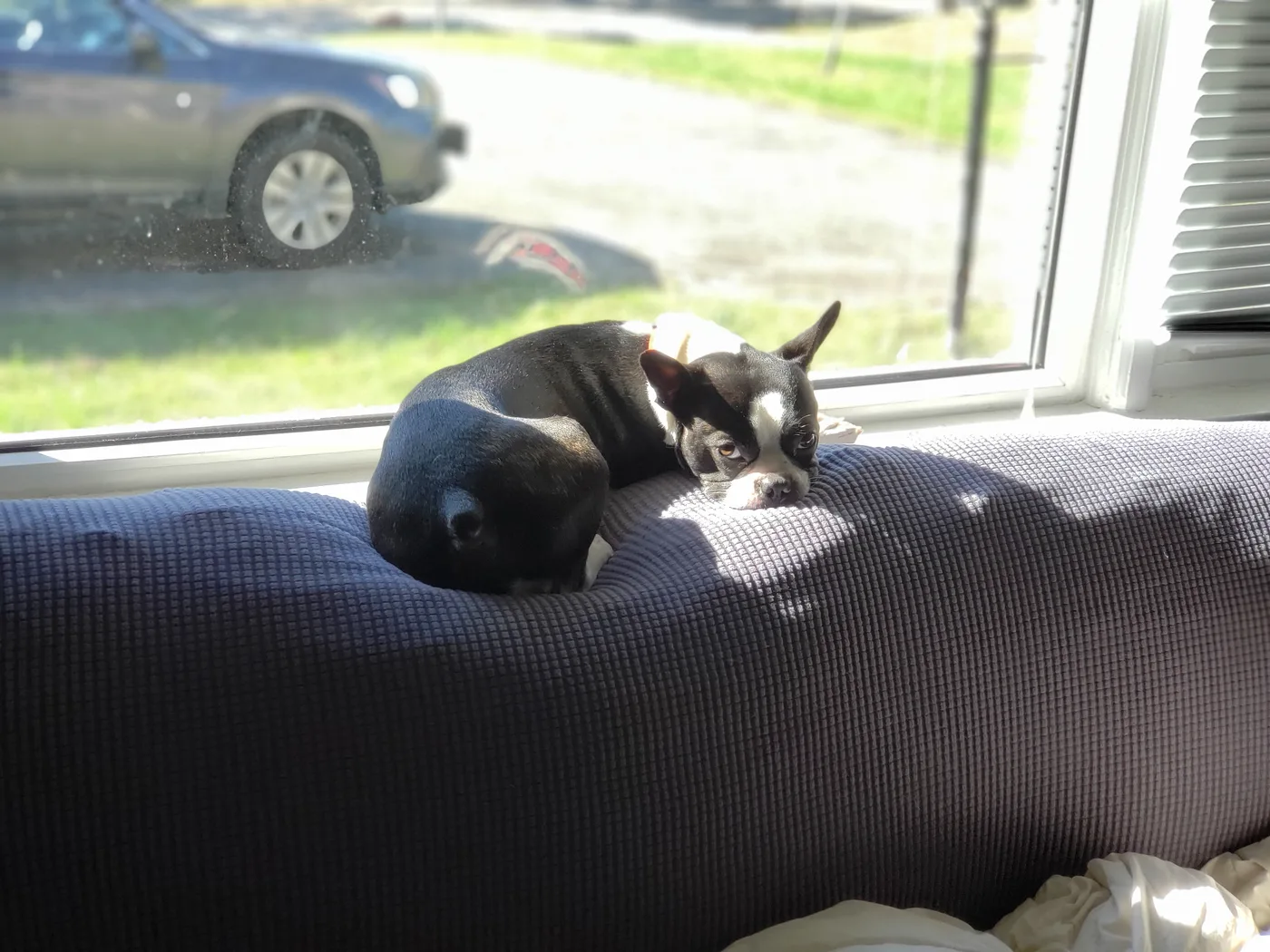 20201015_103853.jpg
