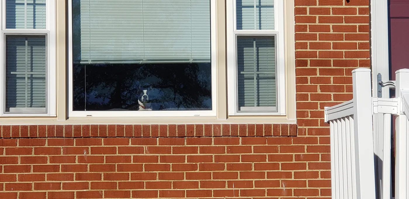 20201206_140838.jpg