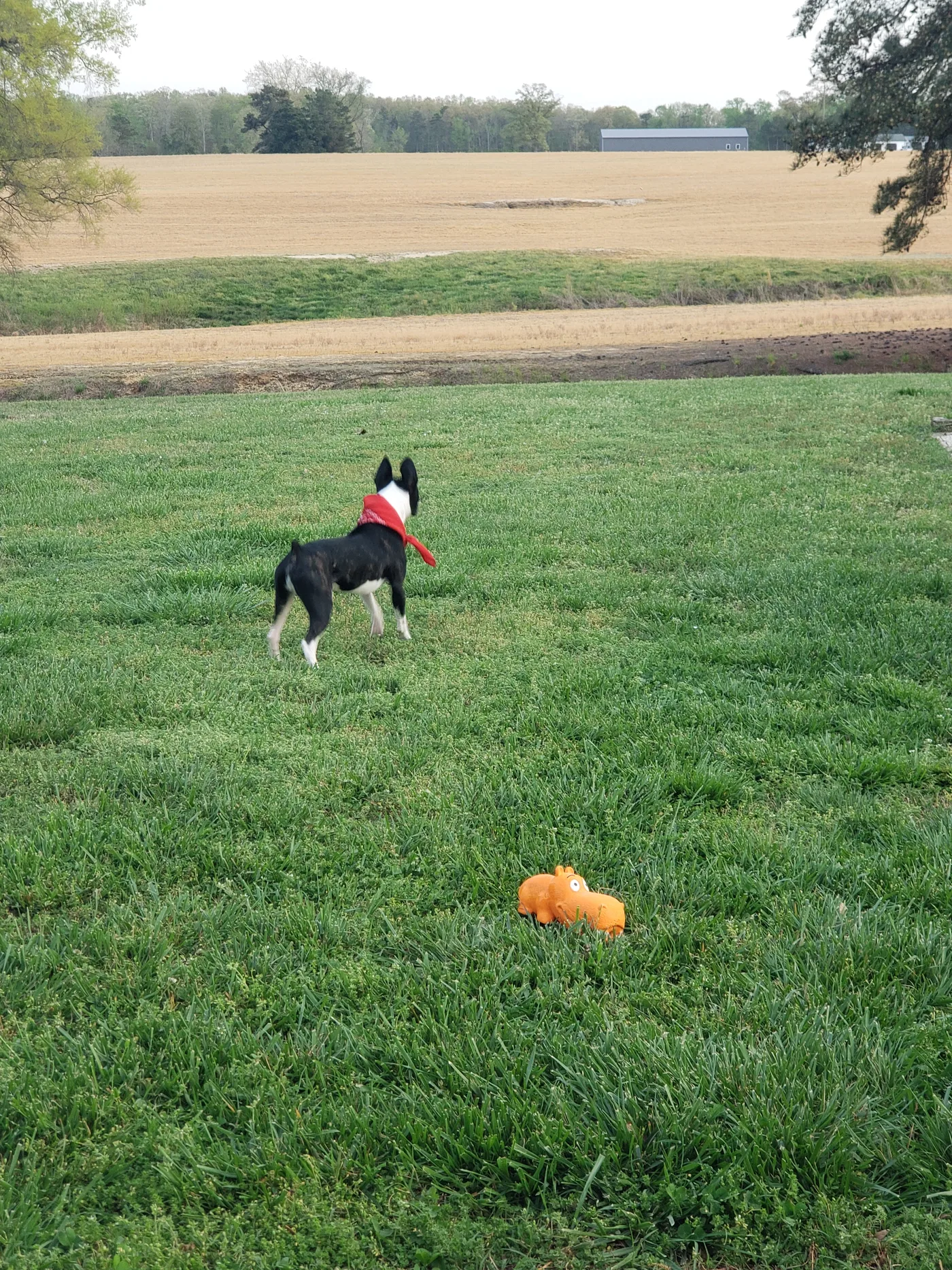 20210411_191559.jpg