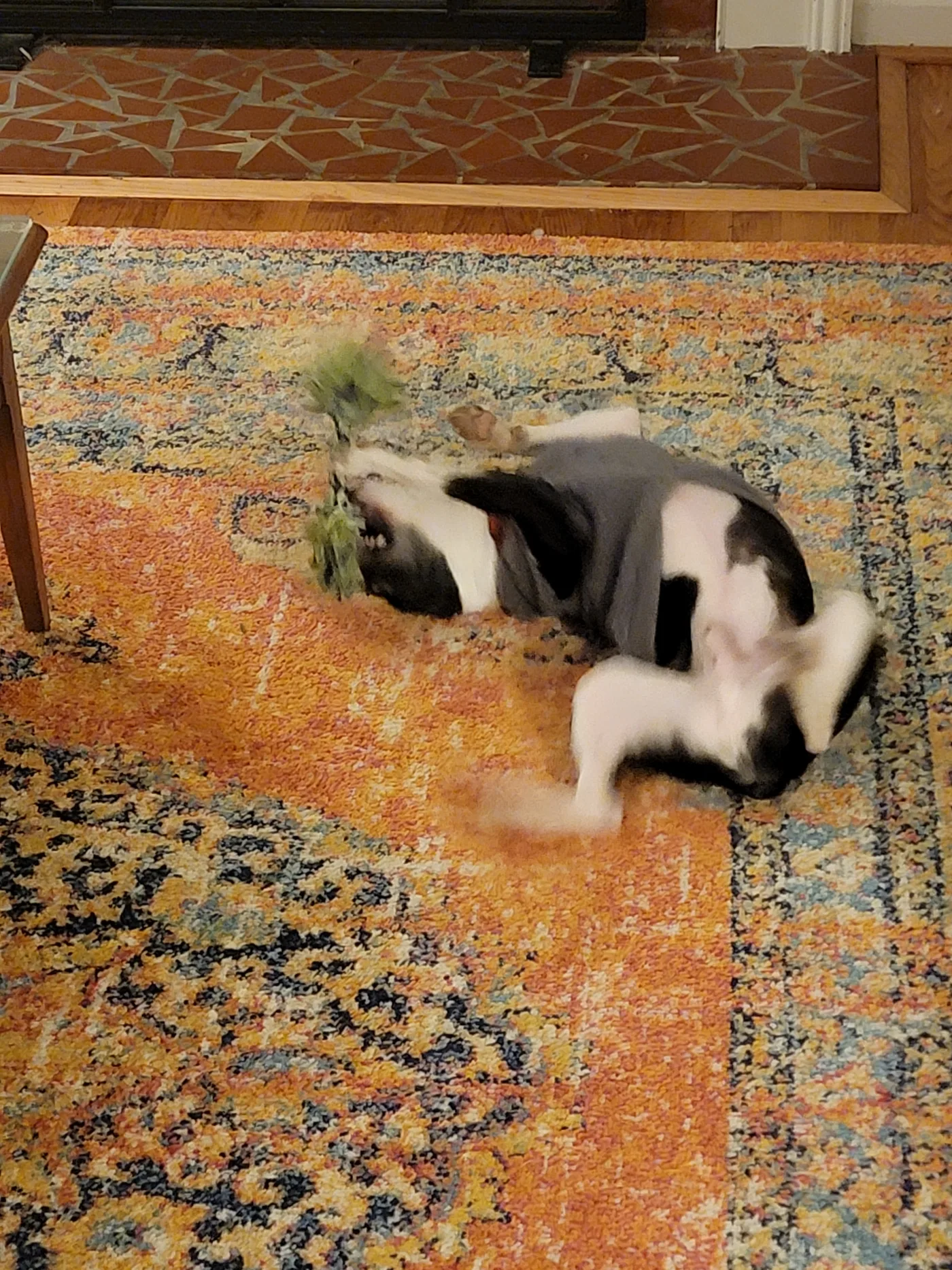 20220128_190931.jpg