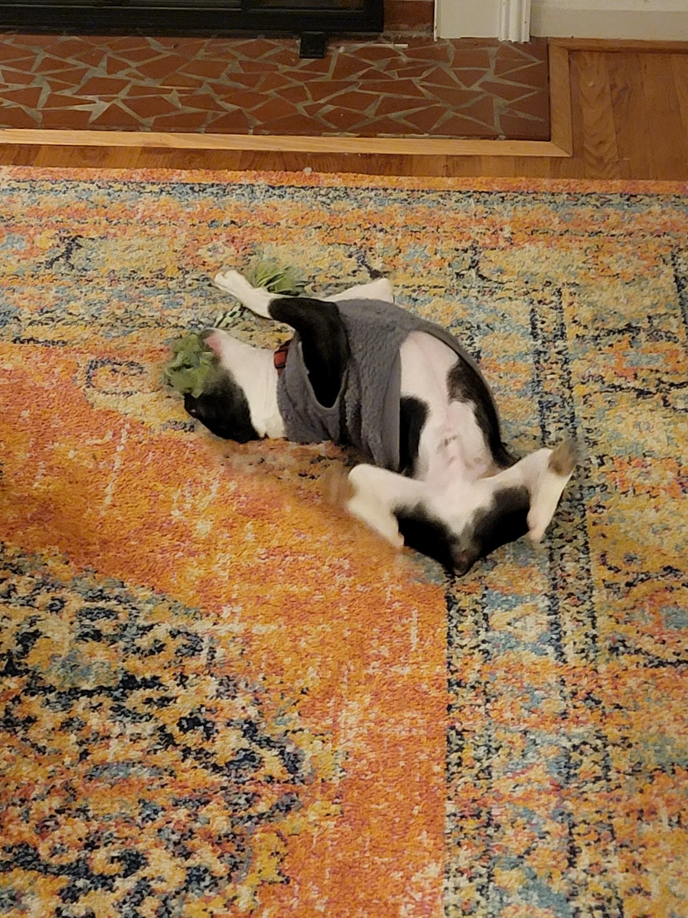 20220128_190933.jpg