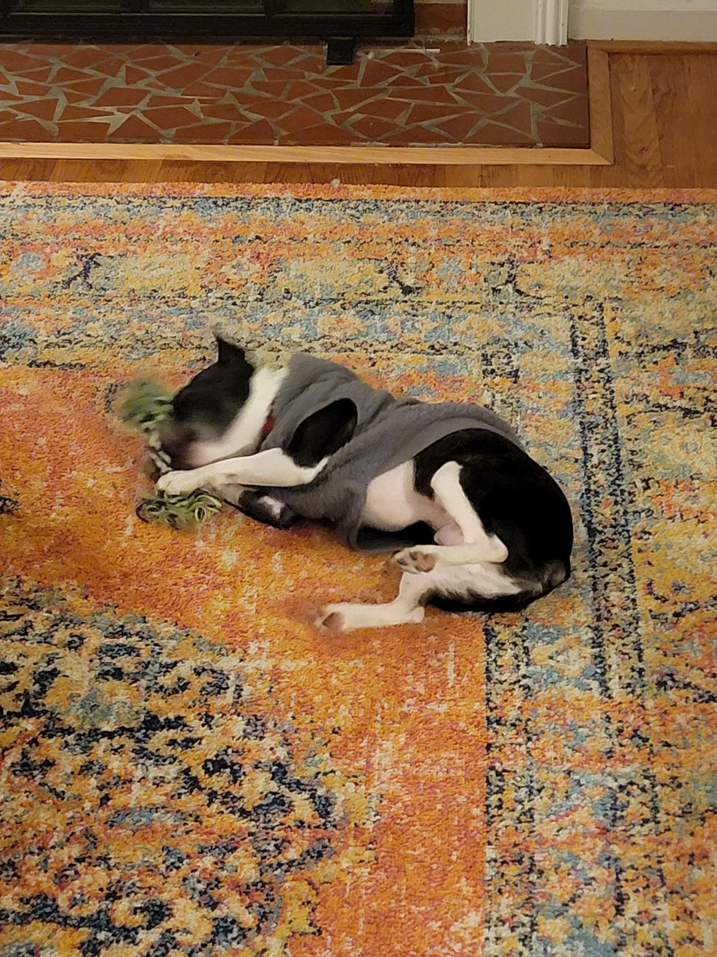 20220128_190937.jpg